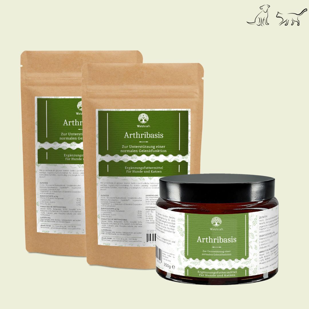 3er-Pack Arthribasis (1xTiegel+2x Nachfüllpack) – Natürliche Gelenkunterstützung - 3x350g
