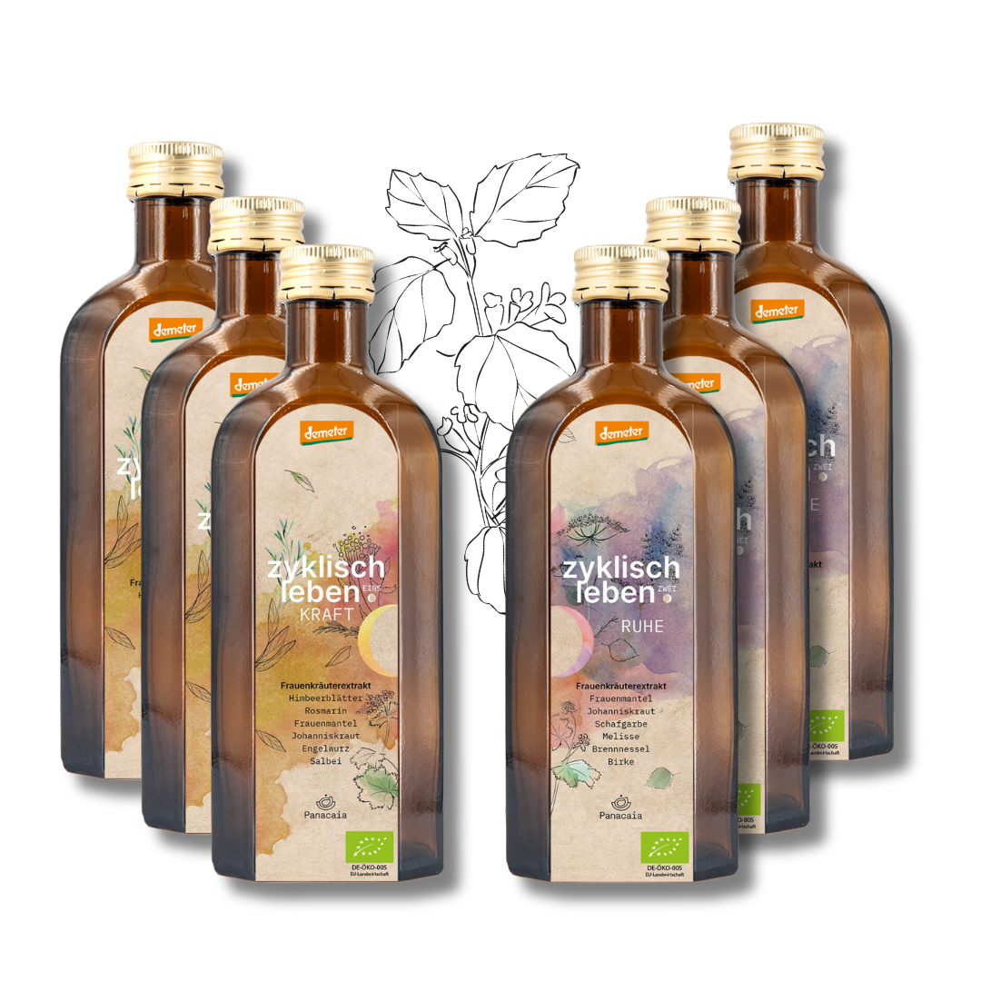 3-Monats-Zykluskur: BIO Oxymel aus Frauenkräutern - „Kraft+Ruhe“, 1. + 2. Zyklushälfte, Demeter, 6 x 250ml