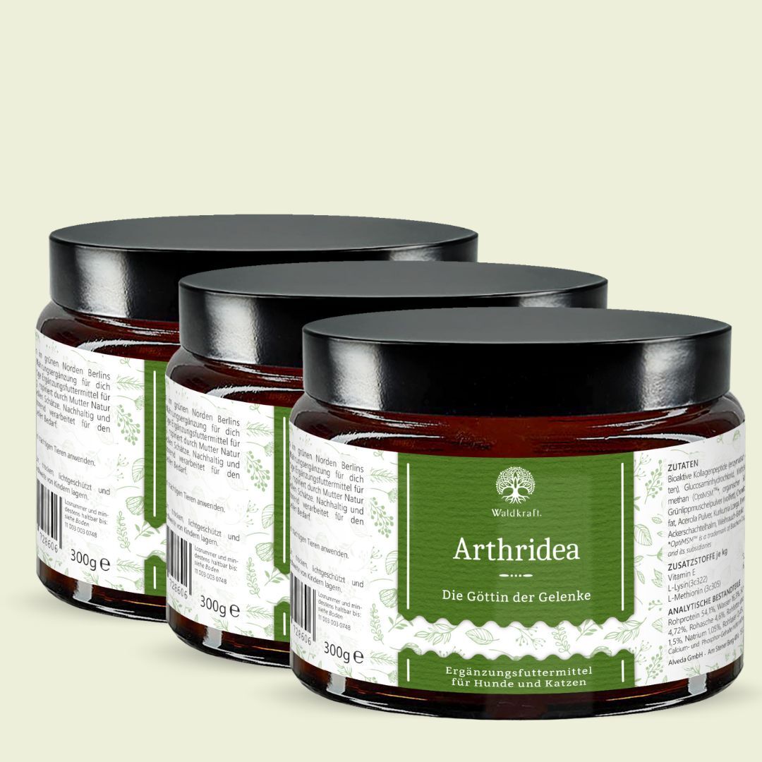 Set: 3er Pack - Arthridea - Die Göttin der Gelenke - Tiegel 3x 300g — Bild 2