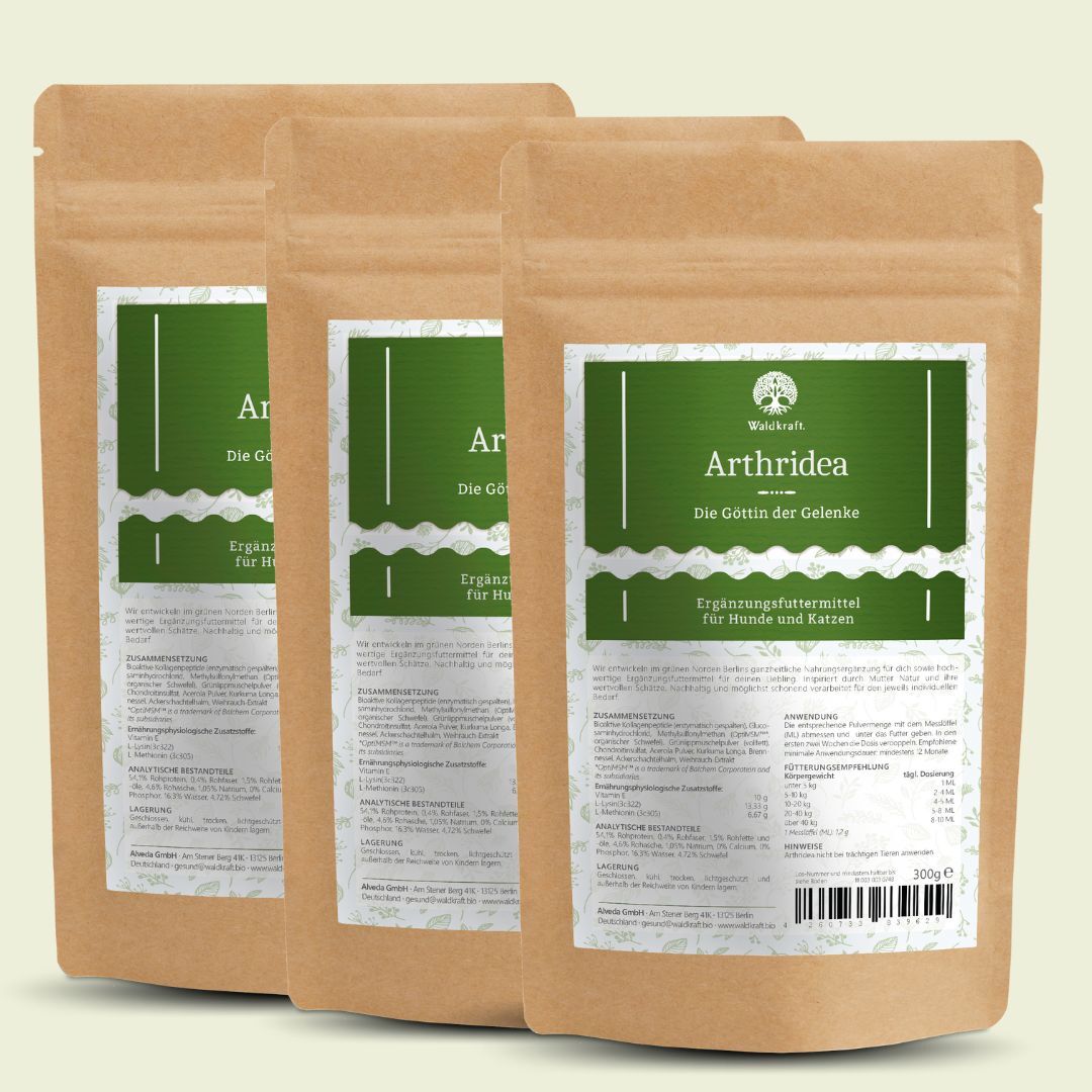 Set: 3er Pack - Arthridea - Die Göttin der Gelenke - Nachfüllpack 3x 300g — Bild 1