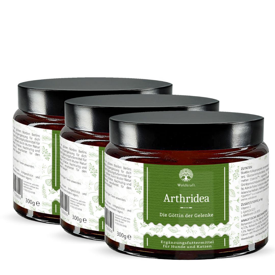 Meta-Set: 3er Pack - Arthridea - Die Göttin der Gelenke - Tiegel 3x 300g