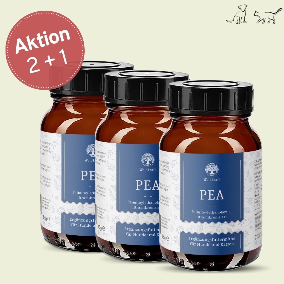 Set: 2+1 PEA - Palmitoylethanolamid Pulver für Hunde und Katzen - 3x 36g