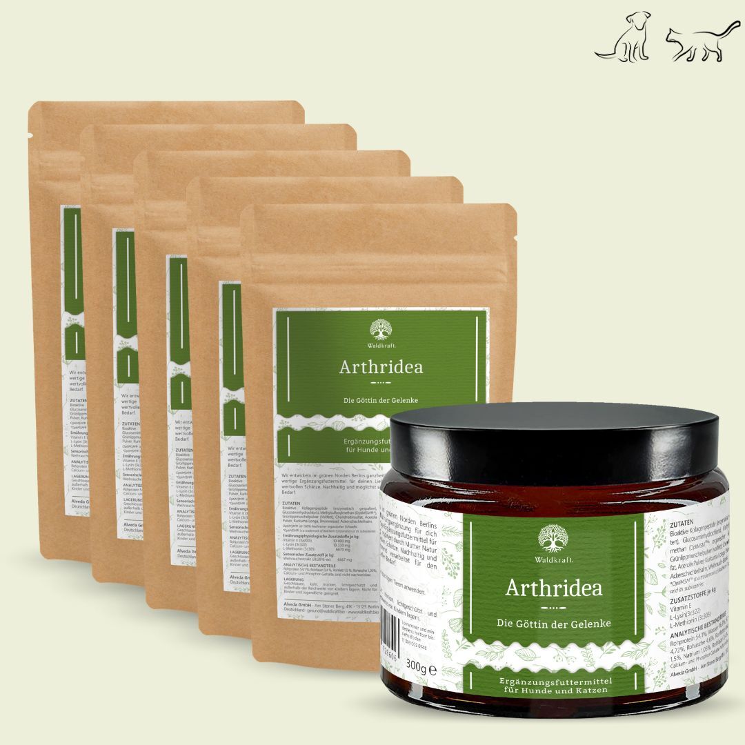 Set: 6er Pack - Arthridea - Die Göttin der Gelenke - Tiegel 1x 300g + Nachfüllpack 5x 300g