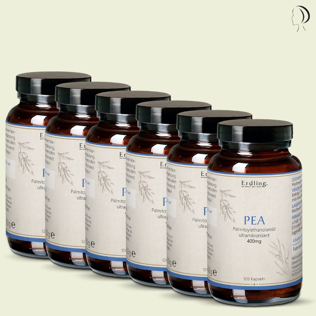 Set: 6er Pack - PEA - Palmitoylethanolamid - 6x 120 Kapseln (400mg) — Bild 1