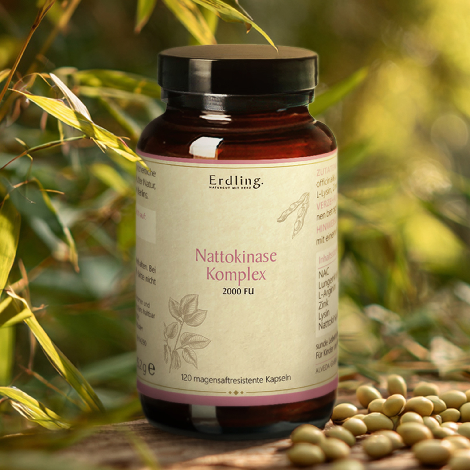 Nattokinase - Komplex 2000 FU - 120 DR Kapseln