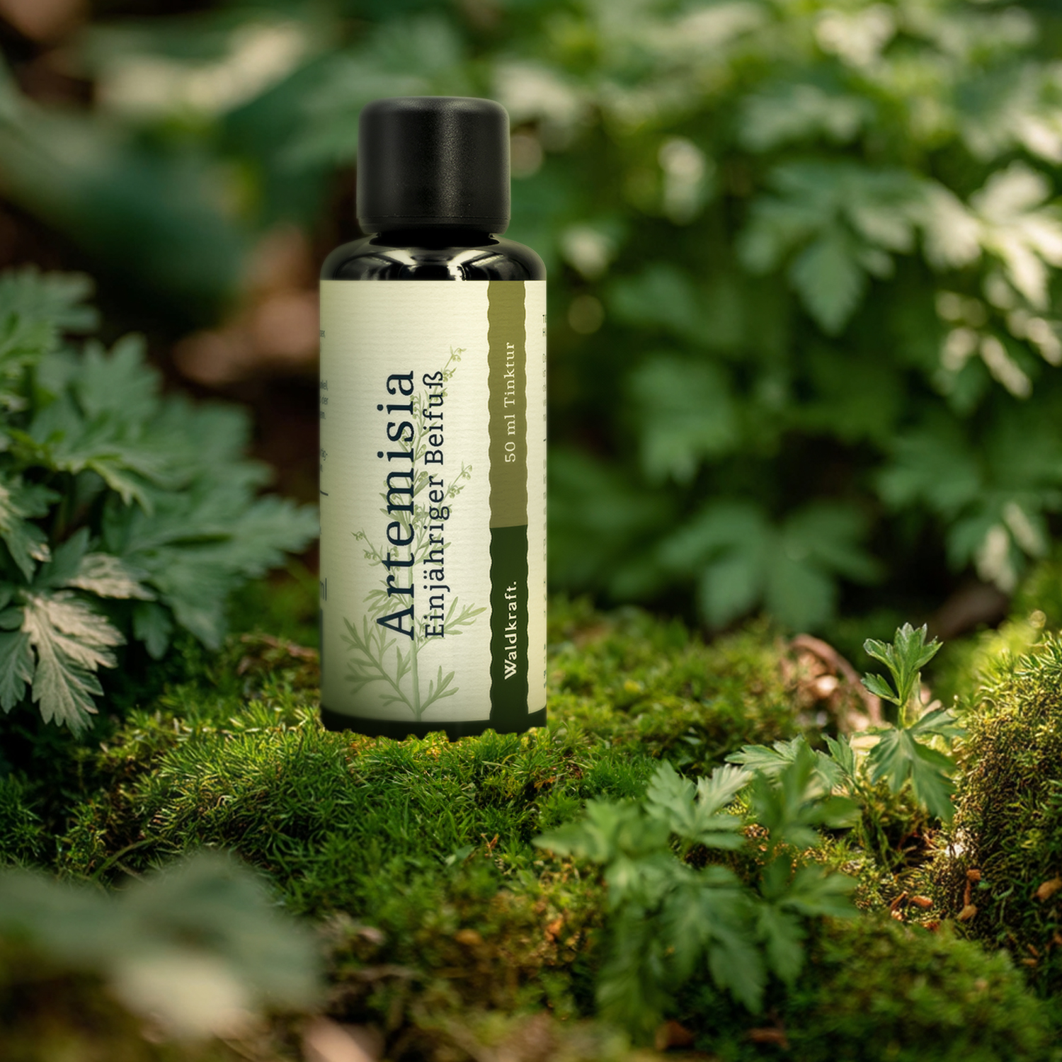 Artemisia - Einjähriger Beifuß (Alkohol-Auszug) - 50ml