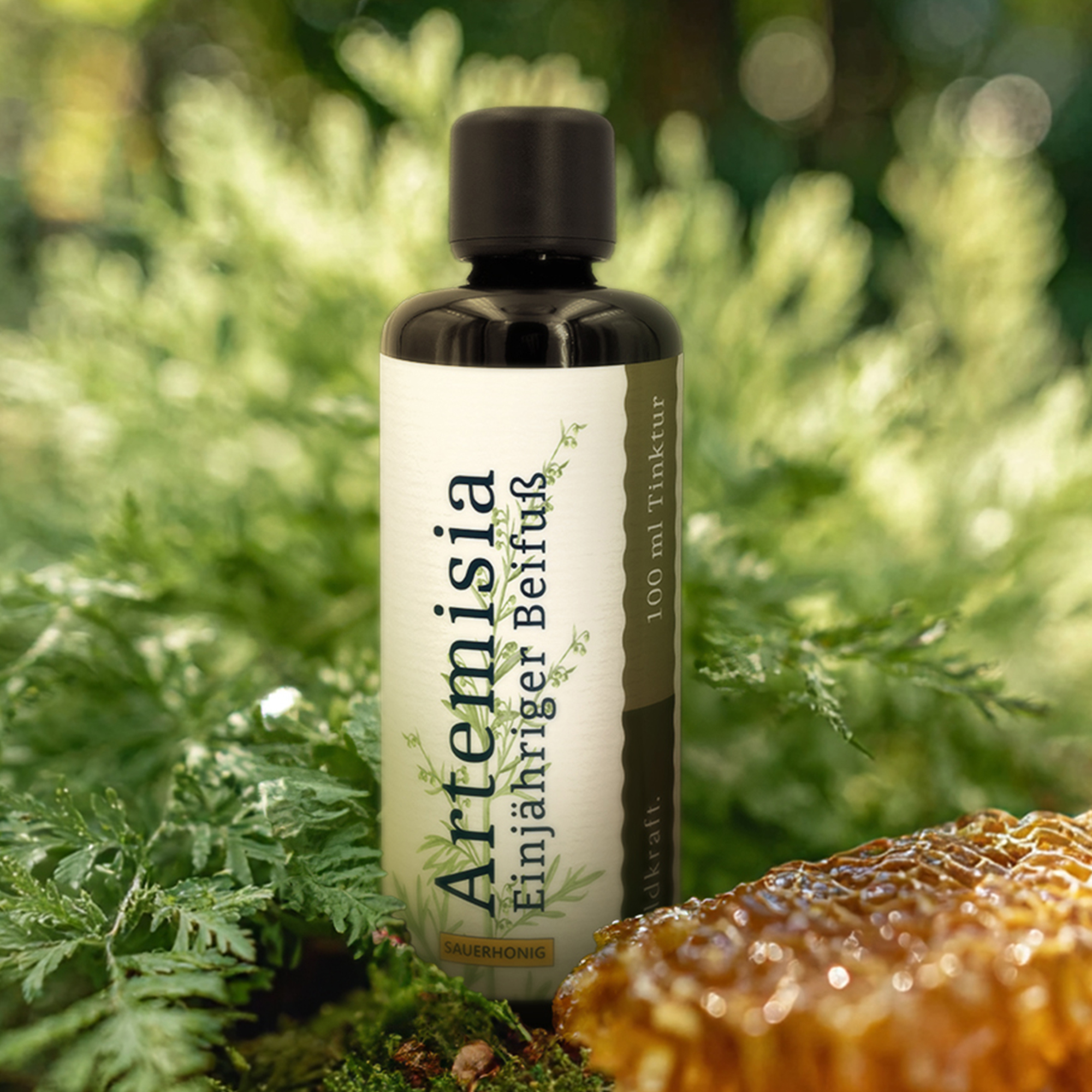 Artemisia - Einjähriger Beifuß (Sauerhonig-Basis) - 100ml