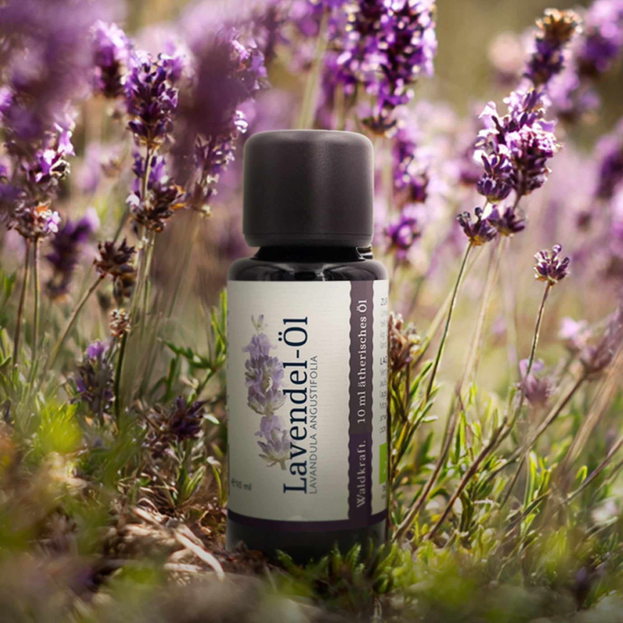 BIO Ätherisches Lavendel-Öl - 10ml