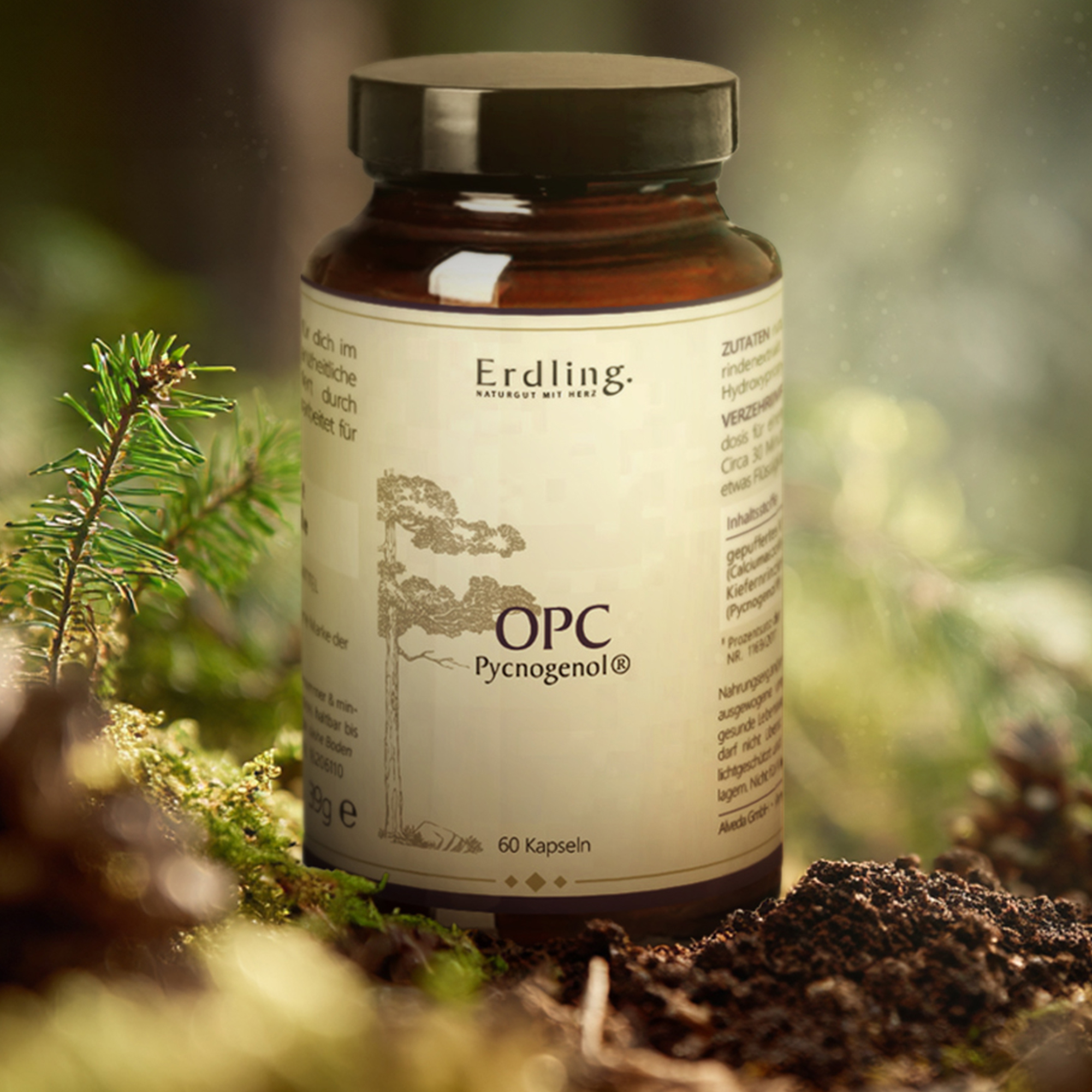 OPC Pycnogenol® - 60 Kapseln