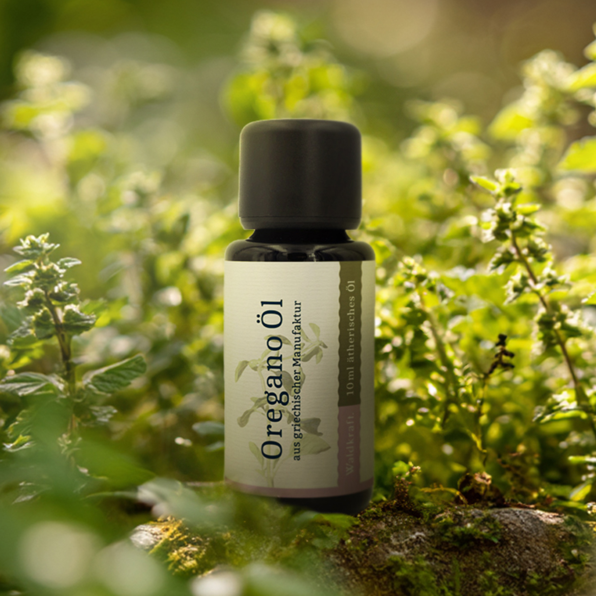 Ätherisches Oregano-Öl - 10ml