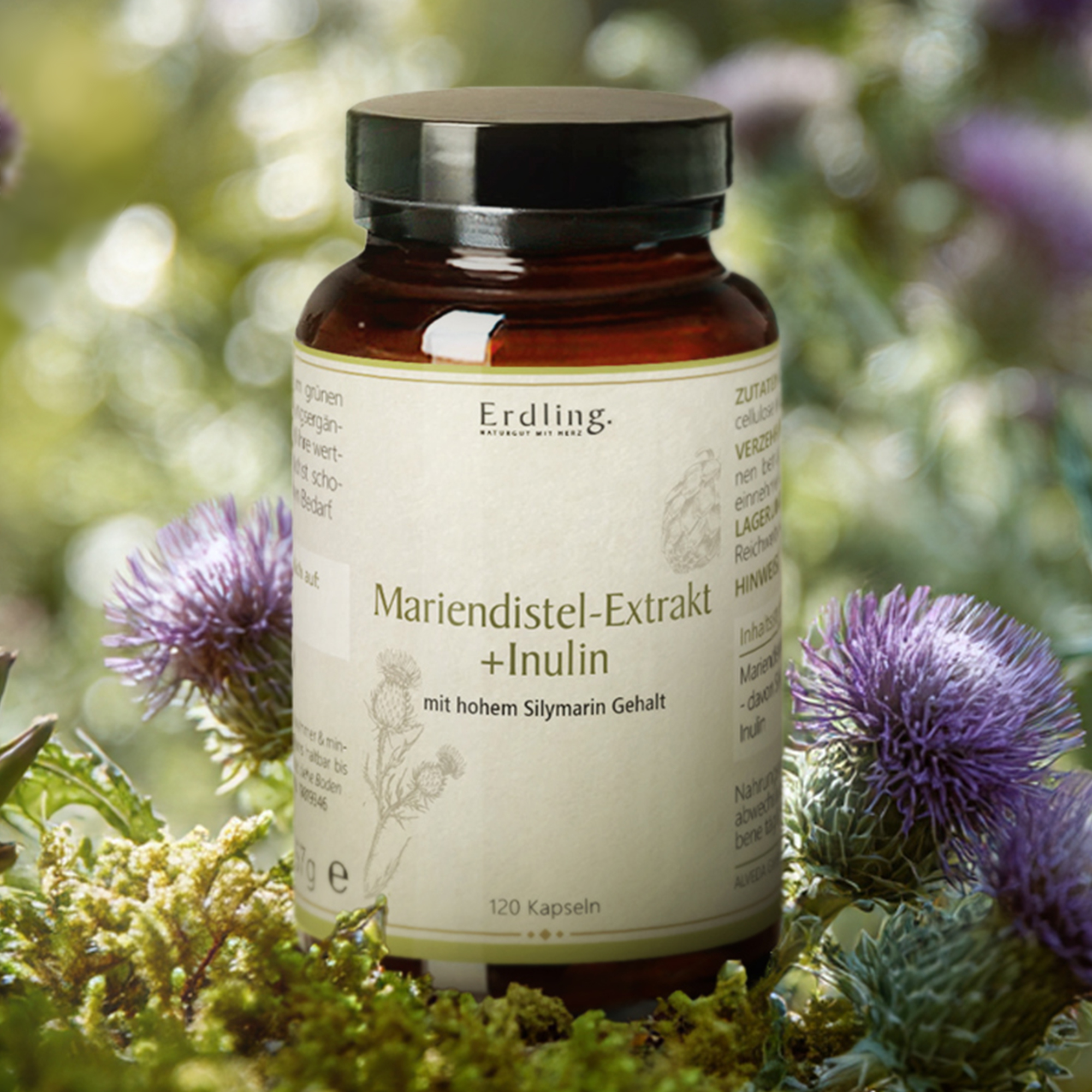 Mariendistel-Extrakt + Inulin - 120 Kapseln