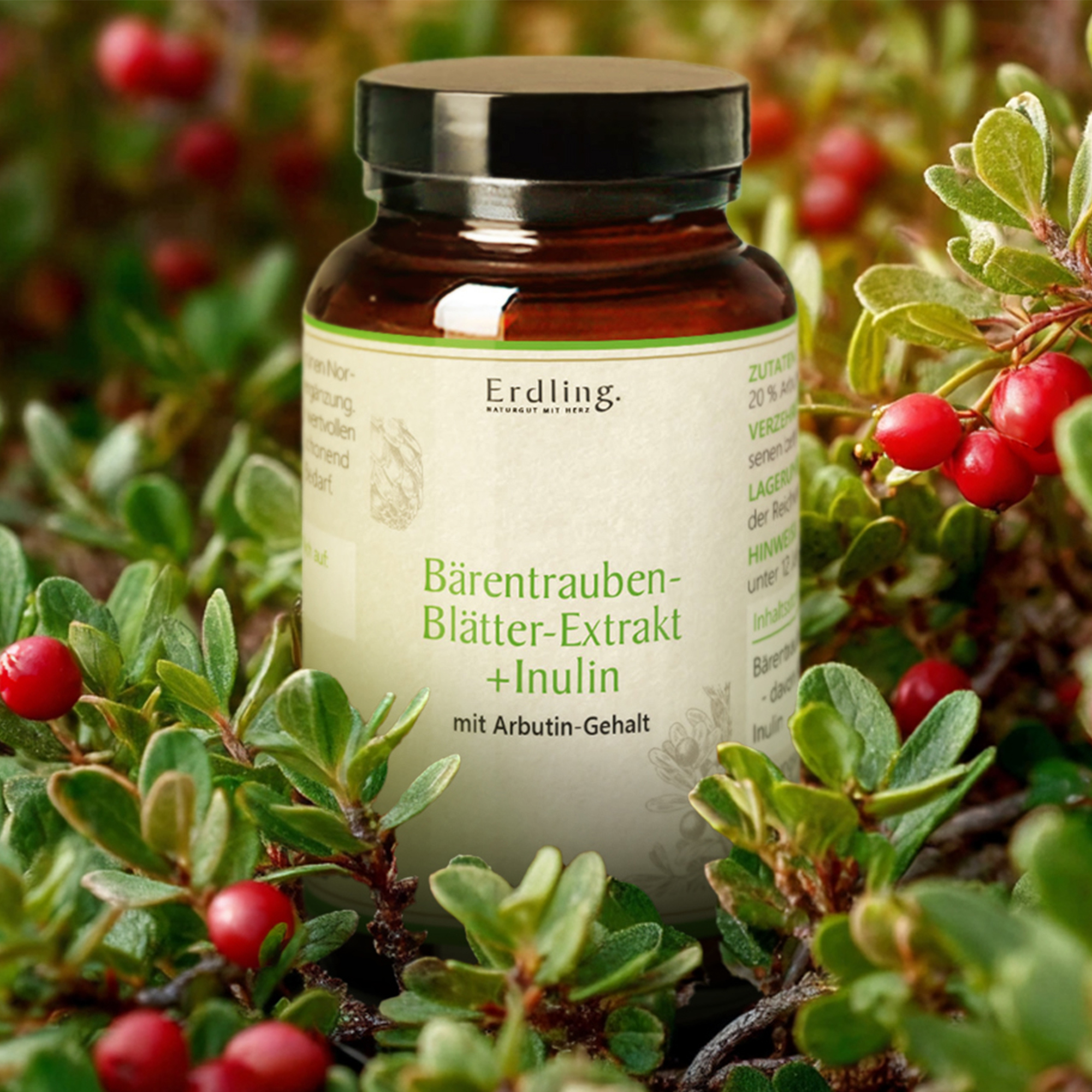 Bärentraubenblätter-Extrakt + Inulin - 120 Kapseln
