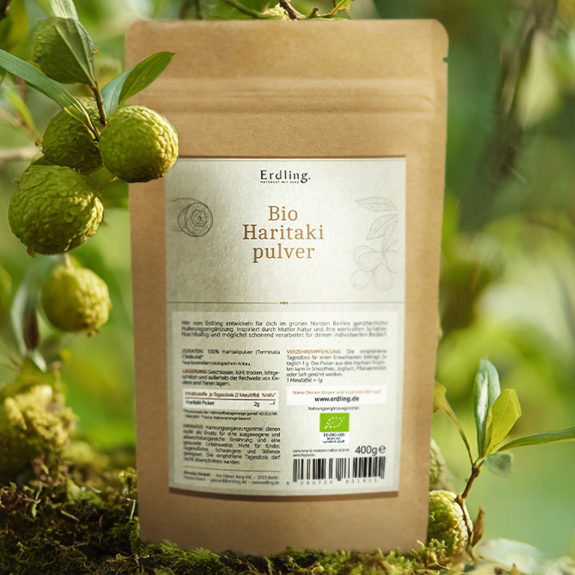 BIO Haritaki Pulver - Standbodenbeutel 400g