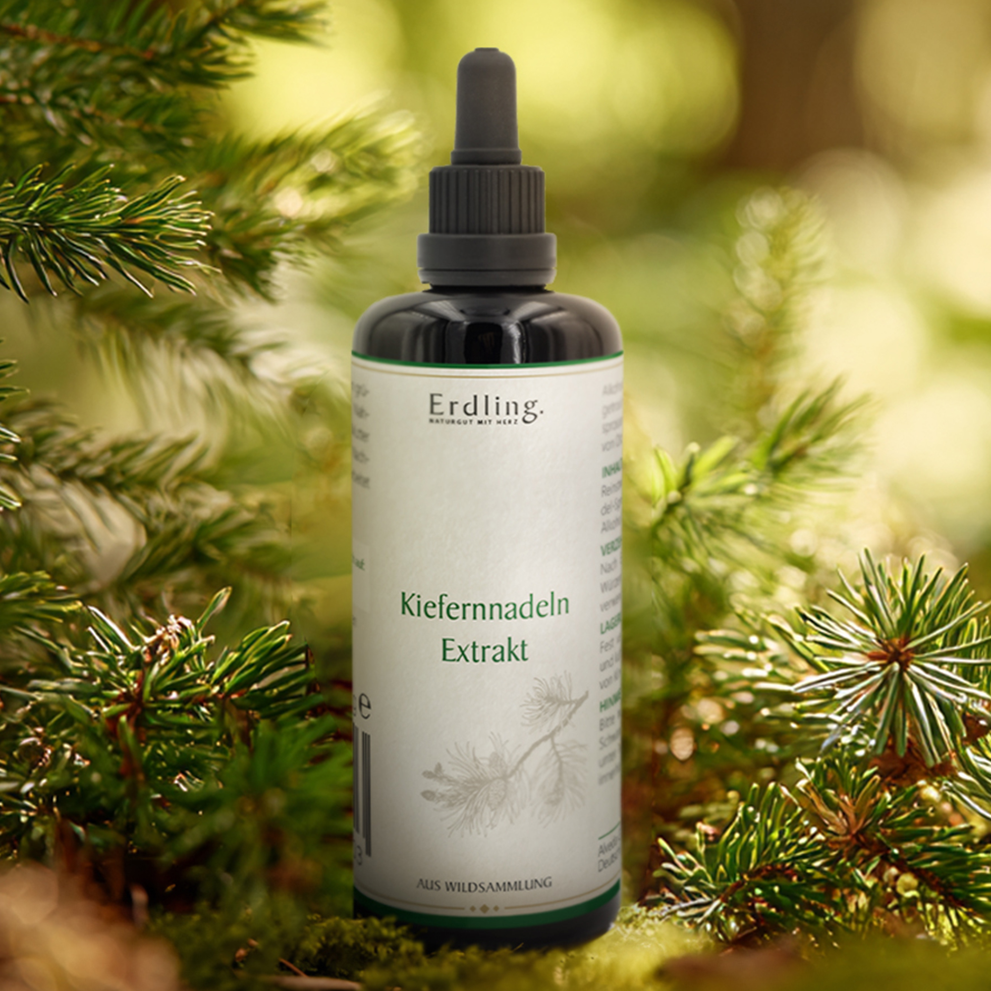 Kiefernnadeln-Extrakt - Wildsammlung - 50ml