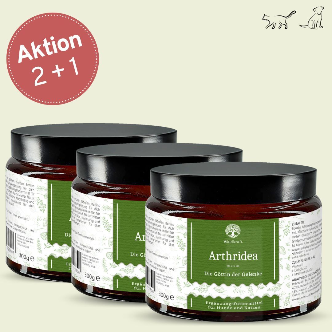 Set: 2+1 Arthridea - Die Göttin der Gelenke - Tiegel 3x 300g