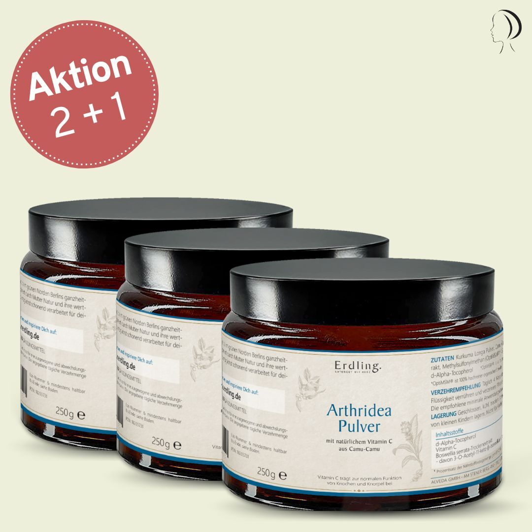 Set: 2+1 Arthridea Pulver - Tiegel 3x 250g