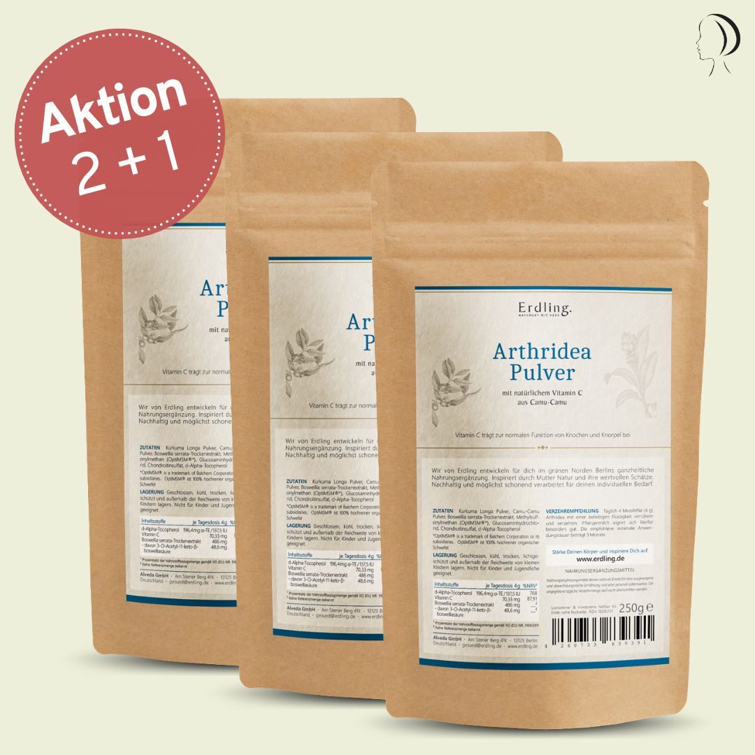 Set: 2+1 Arthridea Pulver - Nachfüllpack 3x 250g