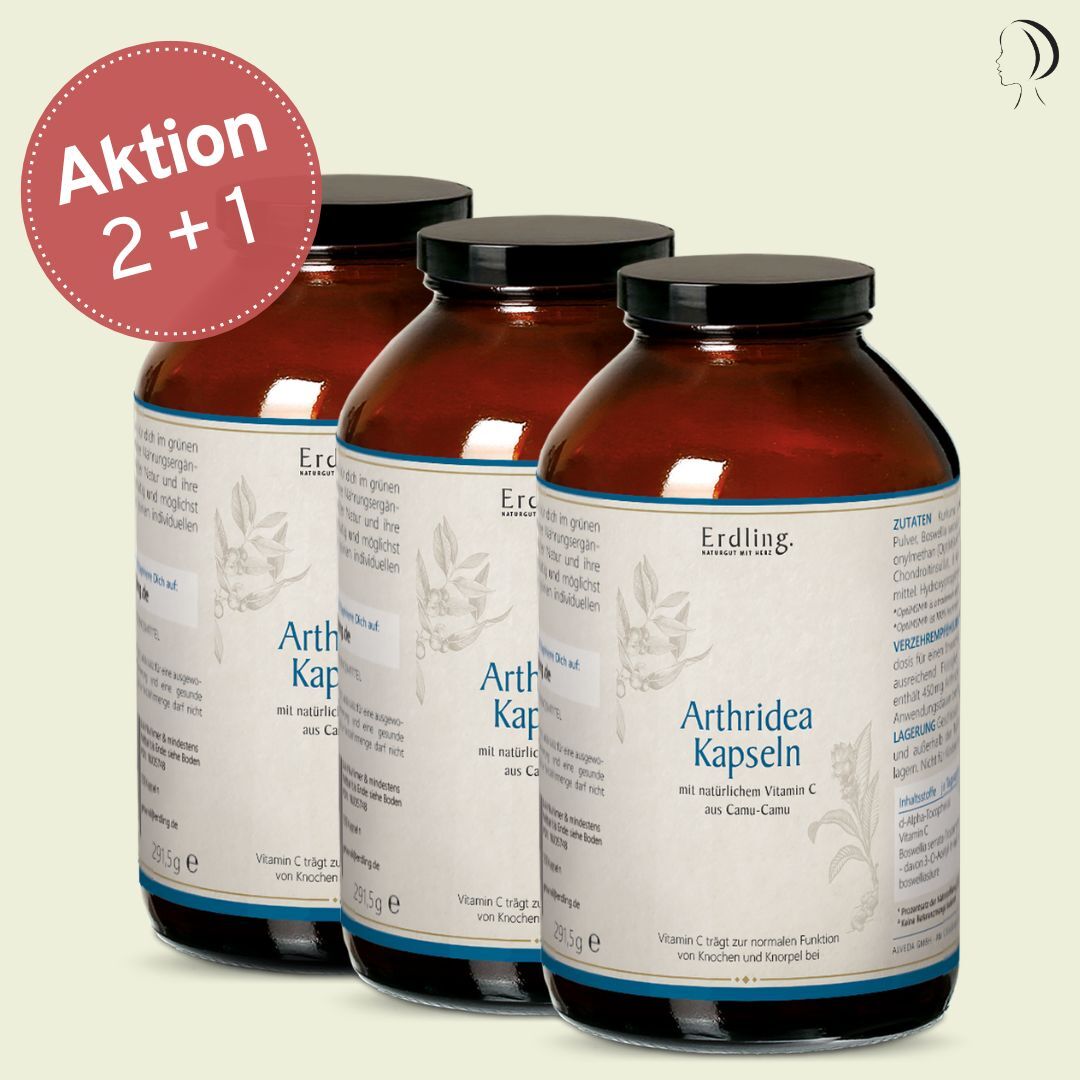 Set: 2+1 Arthridea Kapseln - 3x 530 Kapseln