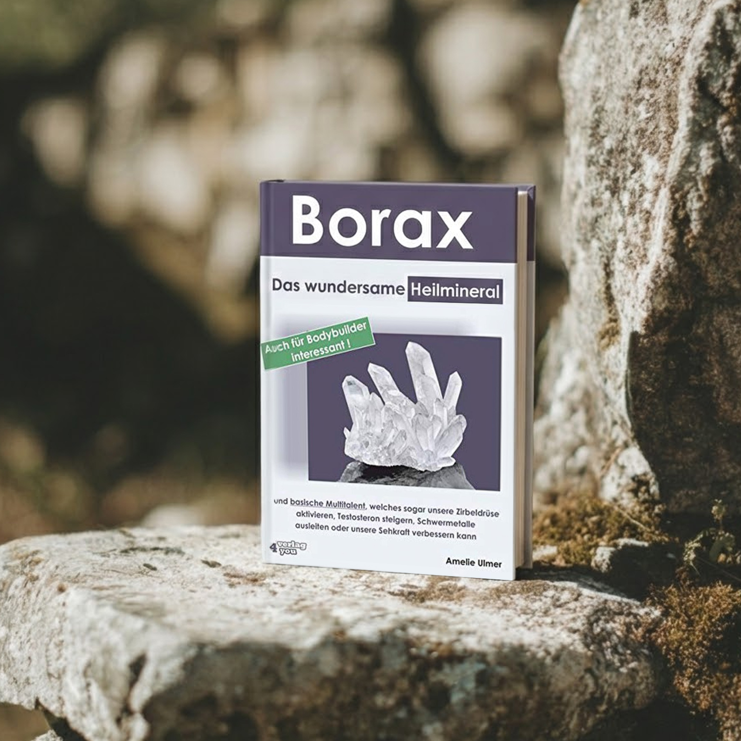 Buch: Borax - Das wundersame Heilmineral