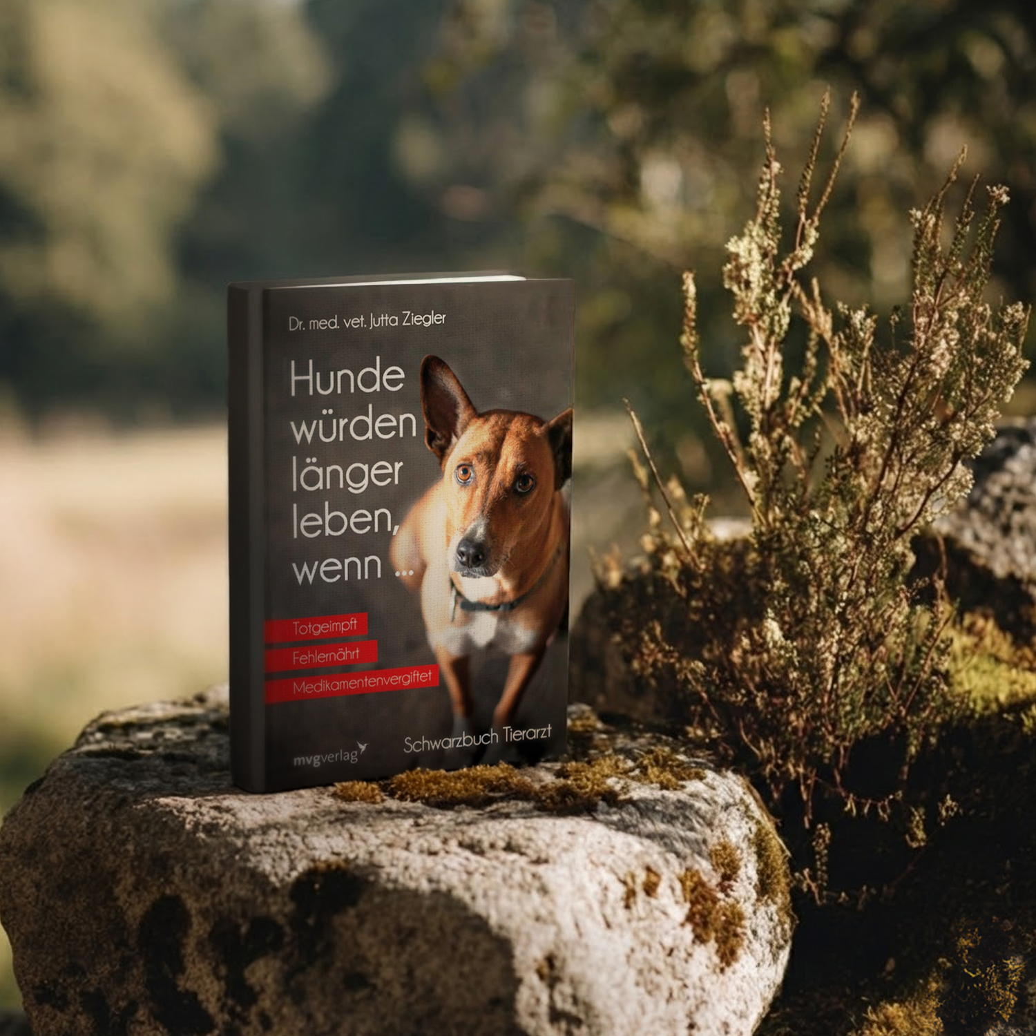 Buch: Hunde würden länger leben, wenn... — Bild 2