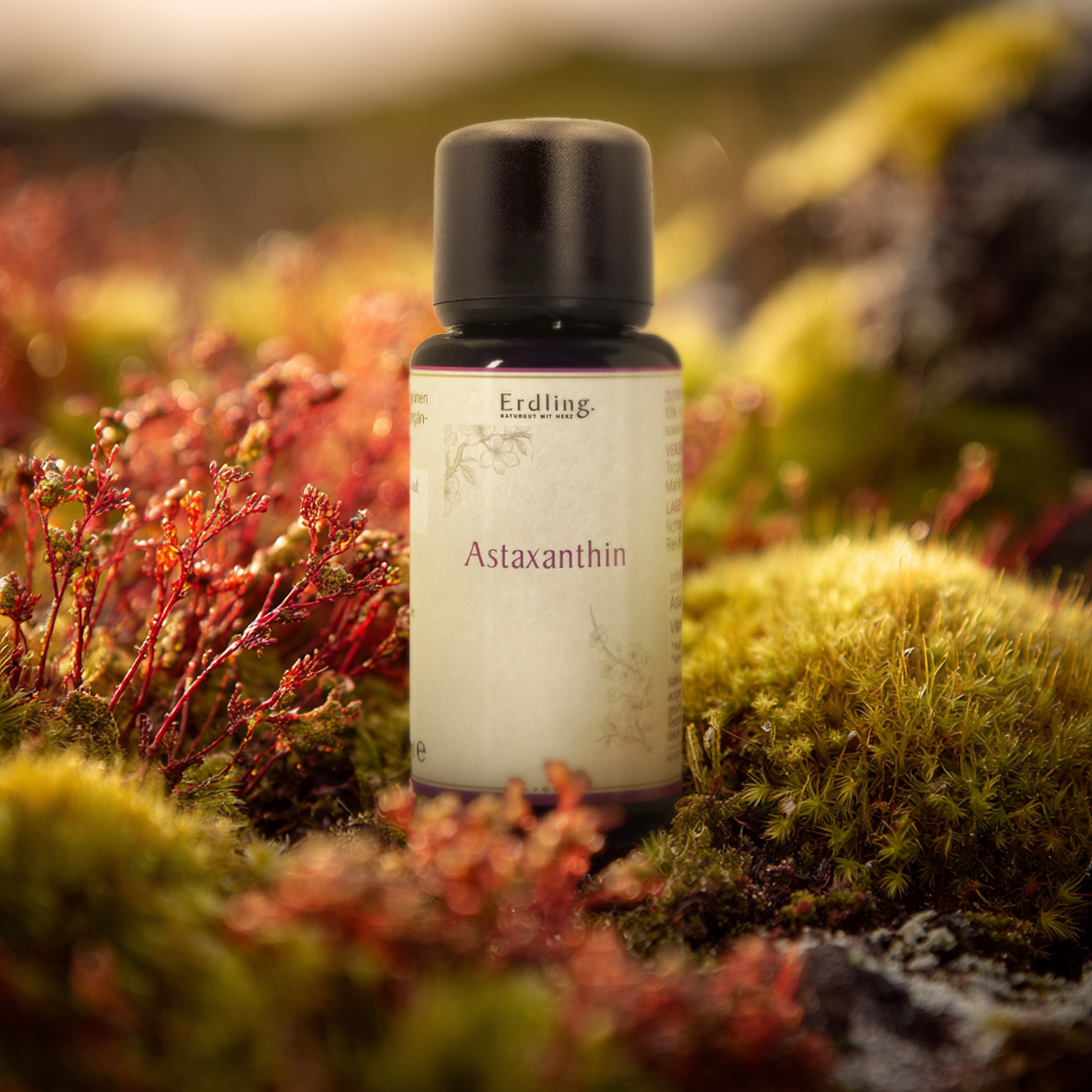 Astaxanthin aus Island - 30ml