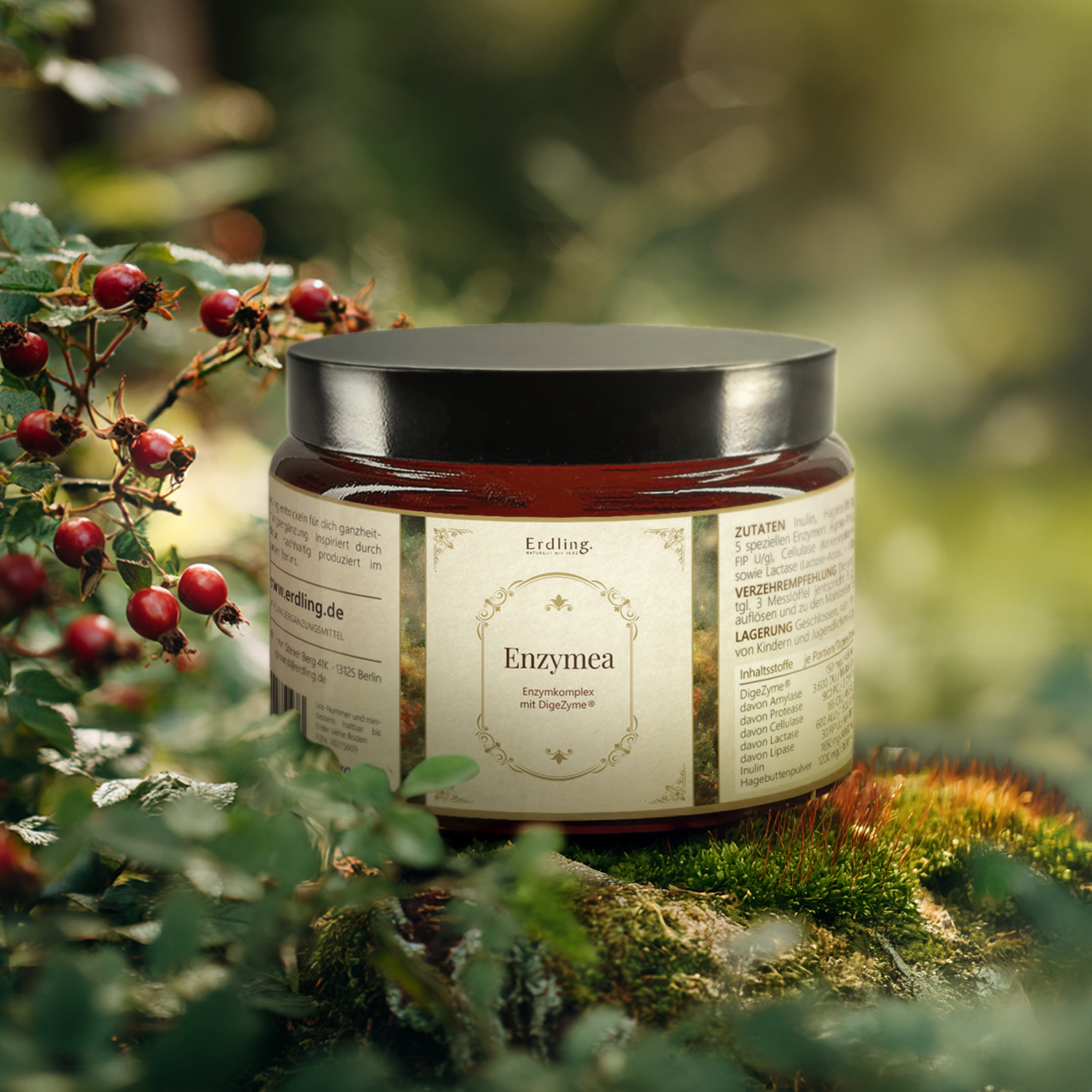 Enzymea - Enzymkomplex mit DigeZyme® - Tiegel 270g