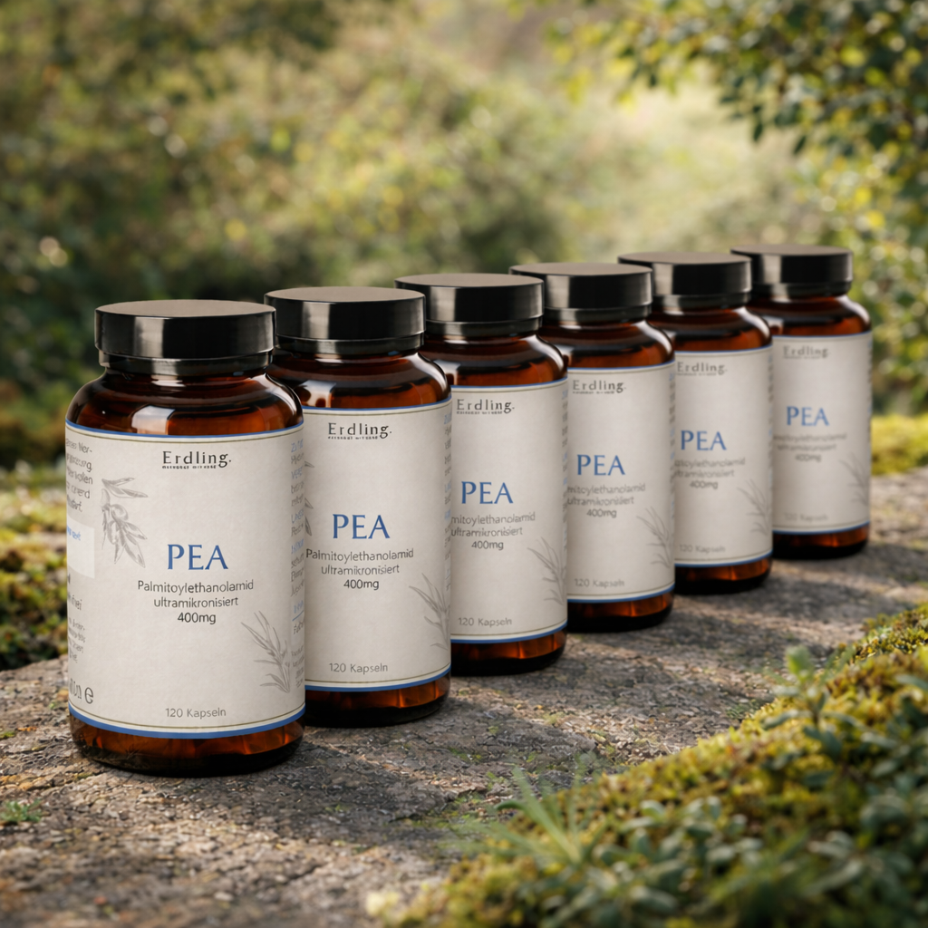 Set: 6er Pack - PEA - Palmitoylethanolamid - 6x 120 Kapseln (400mg)
