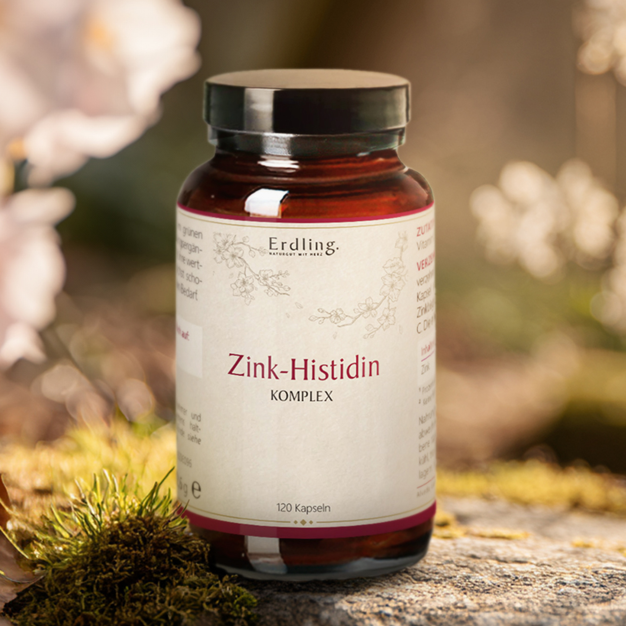 Zink-Histidin Komplex - 120 Kapseln
