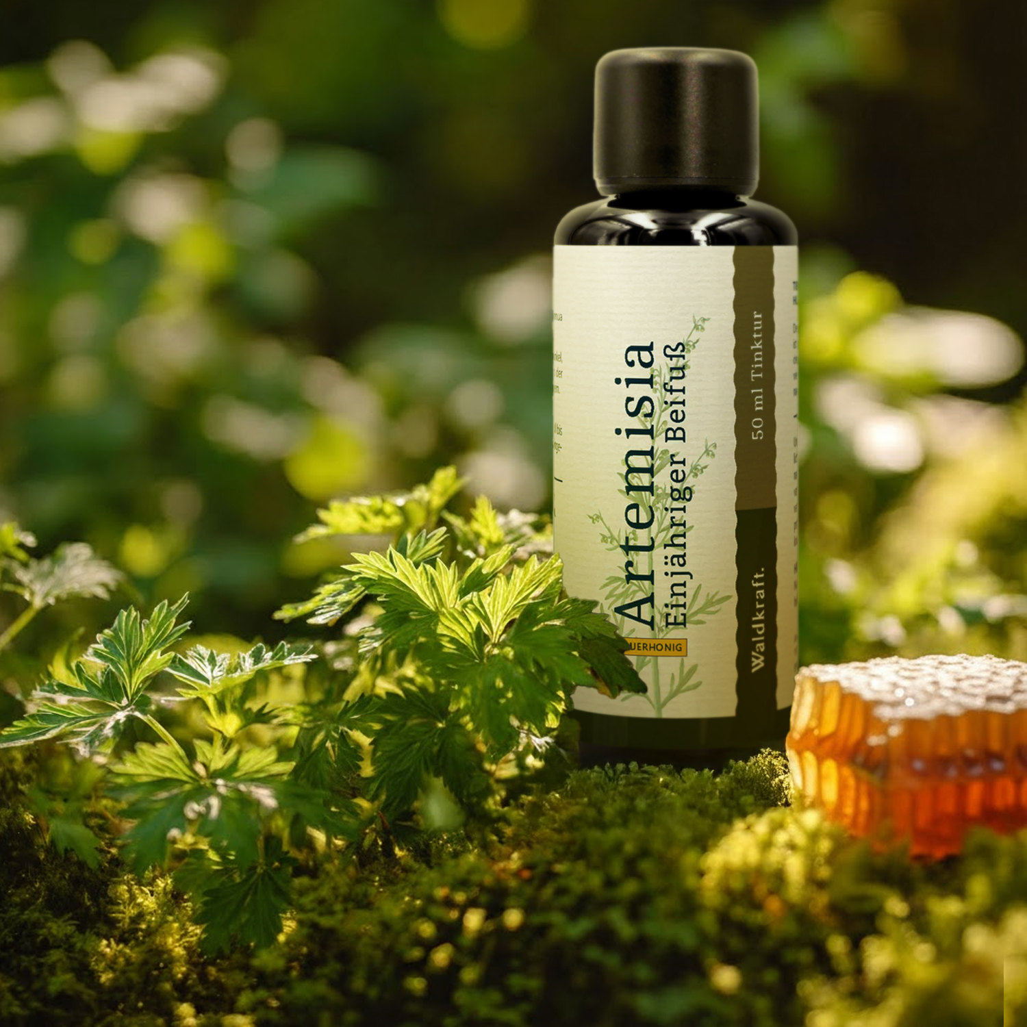 Artemisia - Einjähriger Beifuß (Sauerhonig-Basis) - 50ml