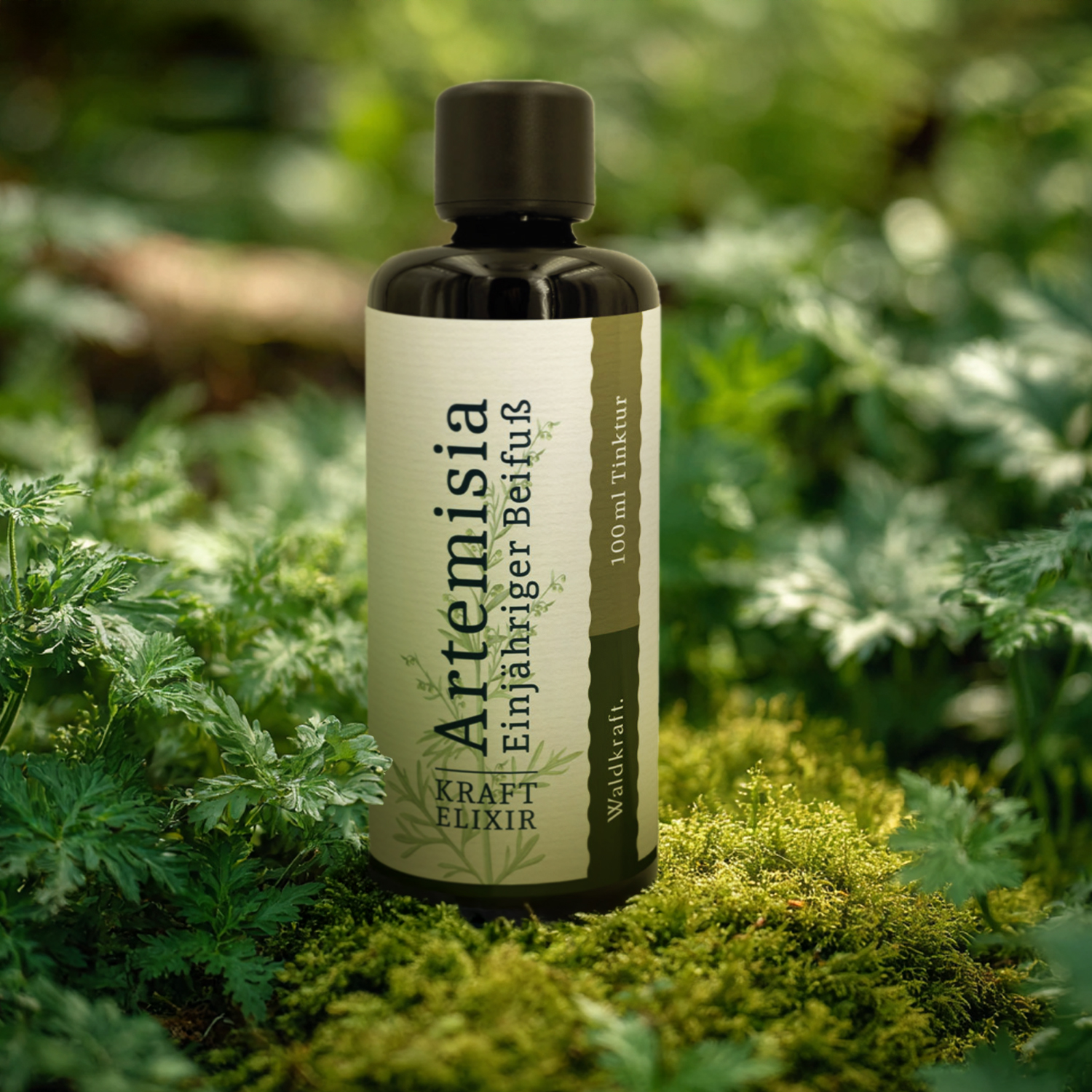 Artemisia - Einjähriger Beifuß (Alkohol-Auszug) - 100ml