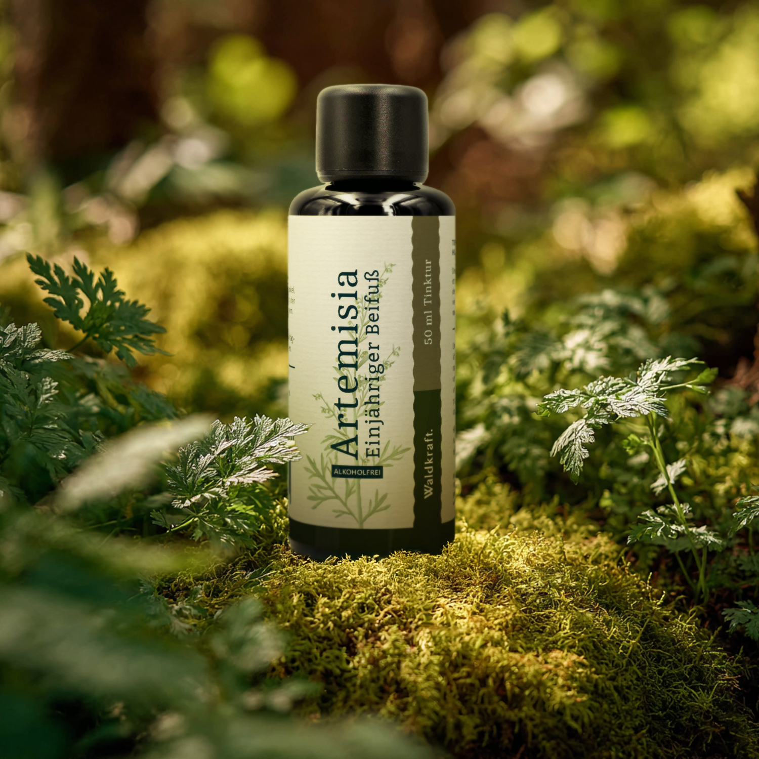 Artemisia - Einjähriger Beifuß (Glycerin-Basis) - 50ml