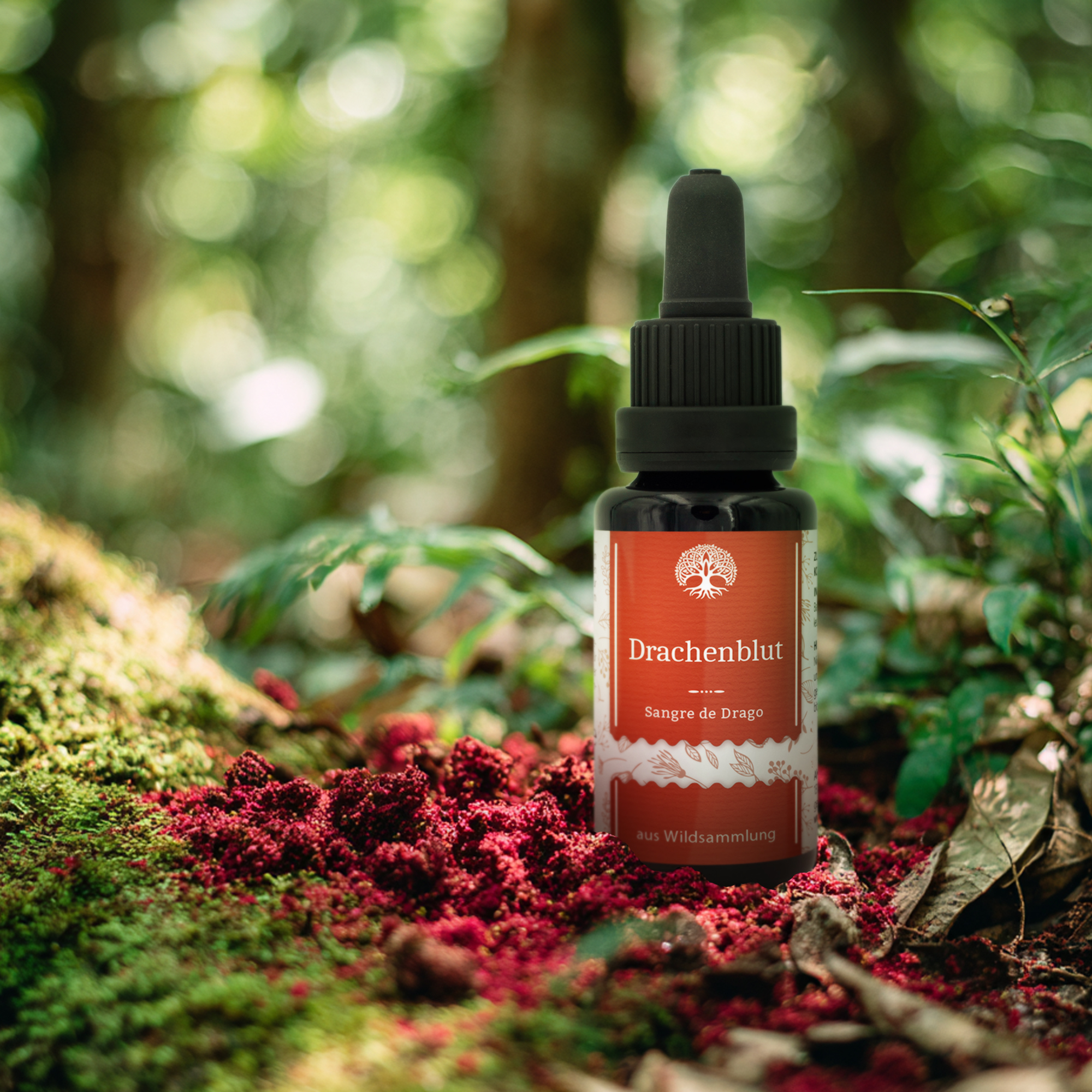 Drachenblut - Sangre de Drago - 20ml