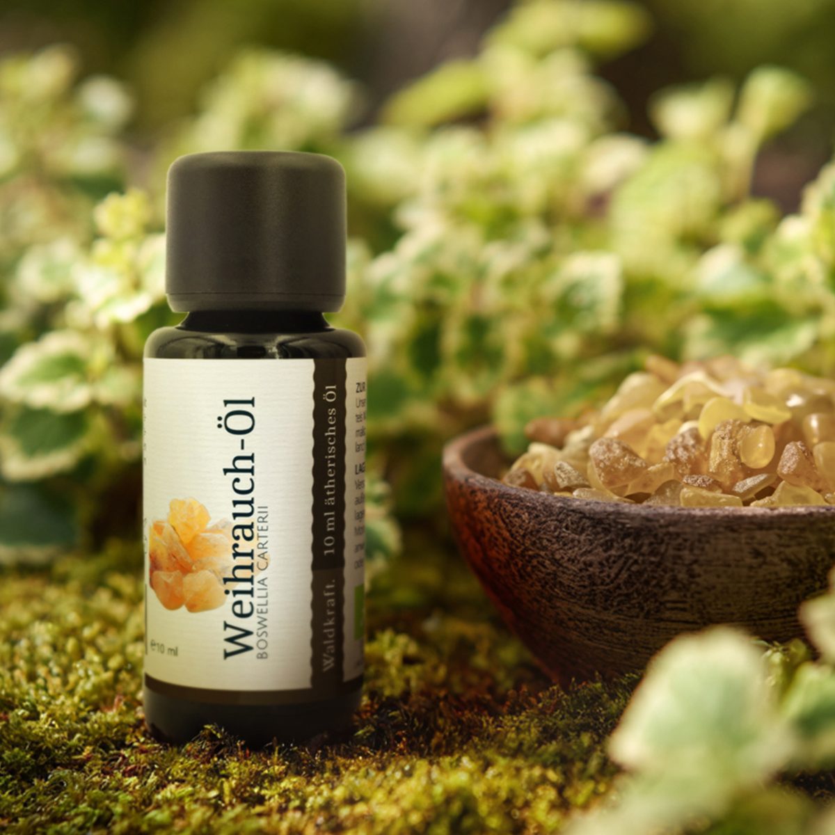 BIO Ätherisches Weihrauch-Öl - 10ml — Bild 2