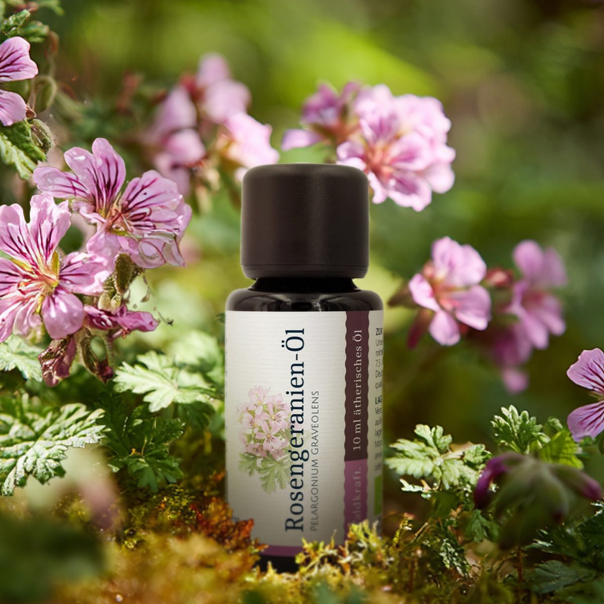 BIO Ätherisches Rosengeranien-Öl - 10ml — Bild 2