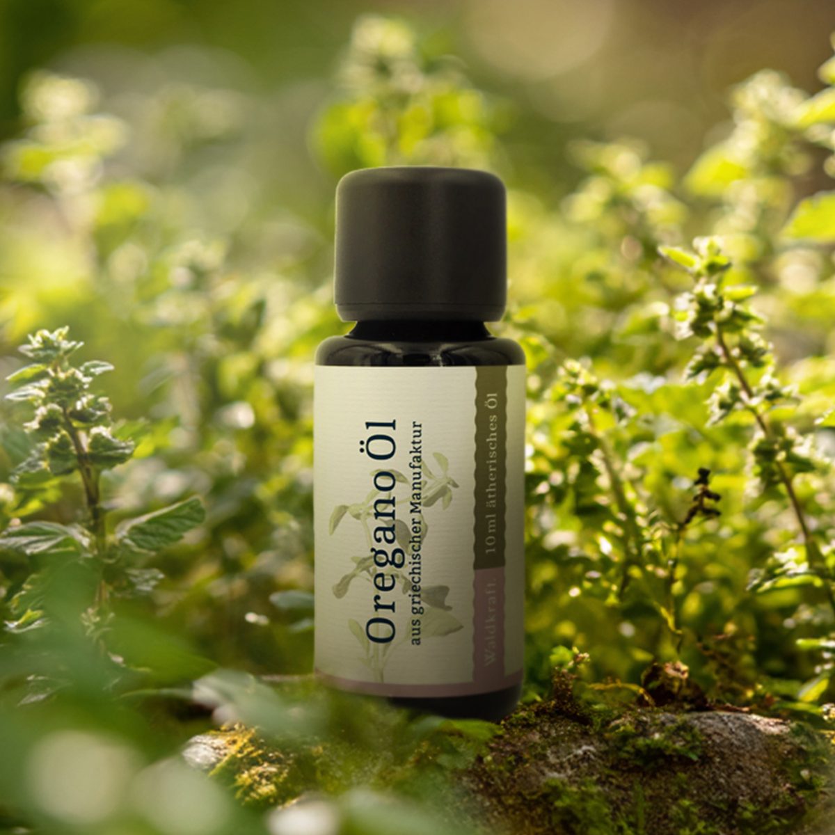 Ätherisches Oregano-Öl - 10ml — Bild 2