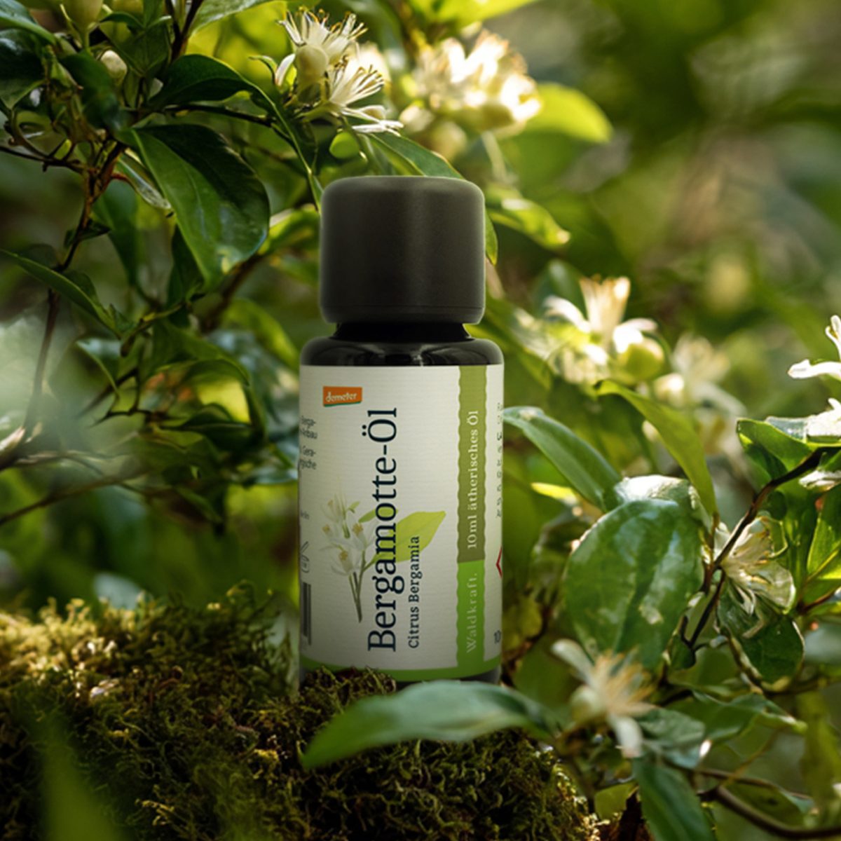 DEMETER Ätherisches Bergamotte-Öl - 10ml — Bild 2