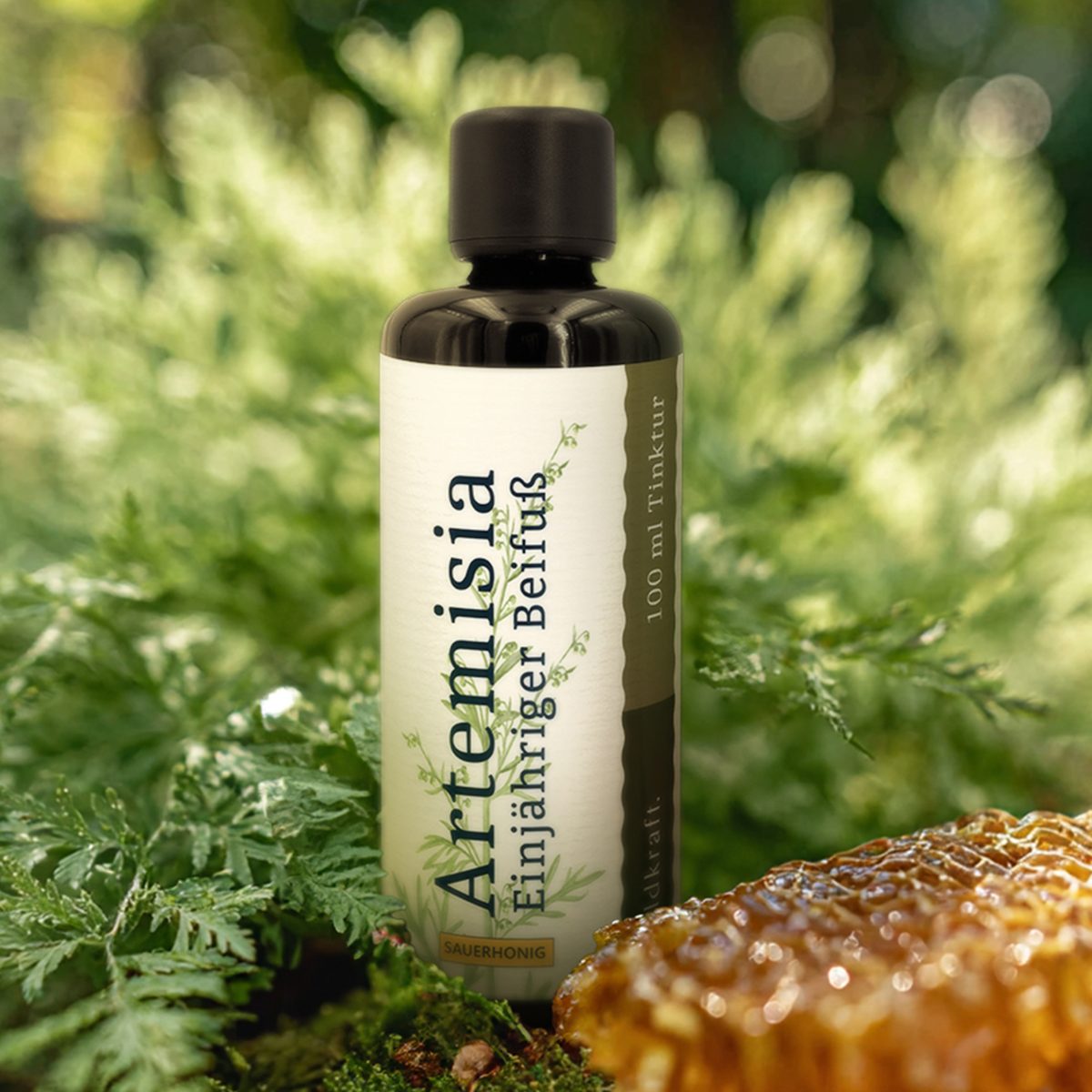 Artemisia - Einjähriger Beifuß (Sauerhonig-Basis) - 100ml — Bild 2