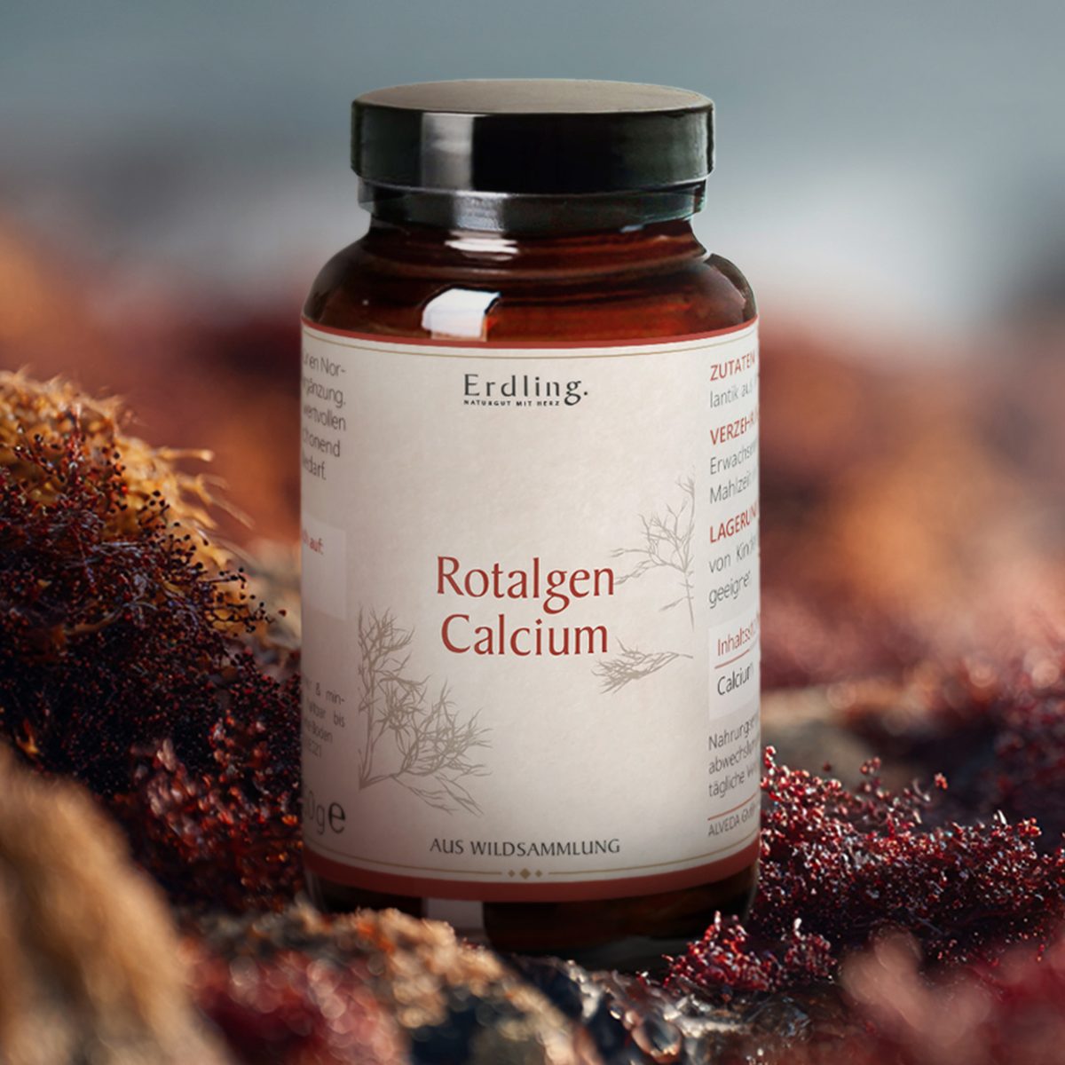 Rotalgen-Calcium (Lithothamnium Calcareum) Pulver - 150g — Bild 2