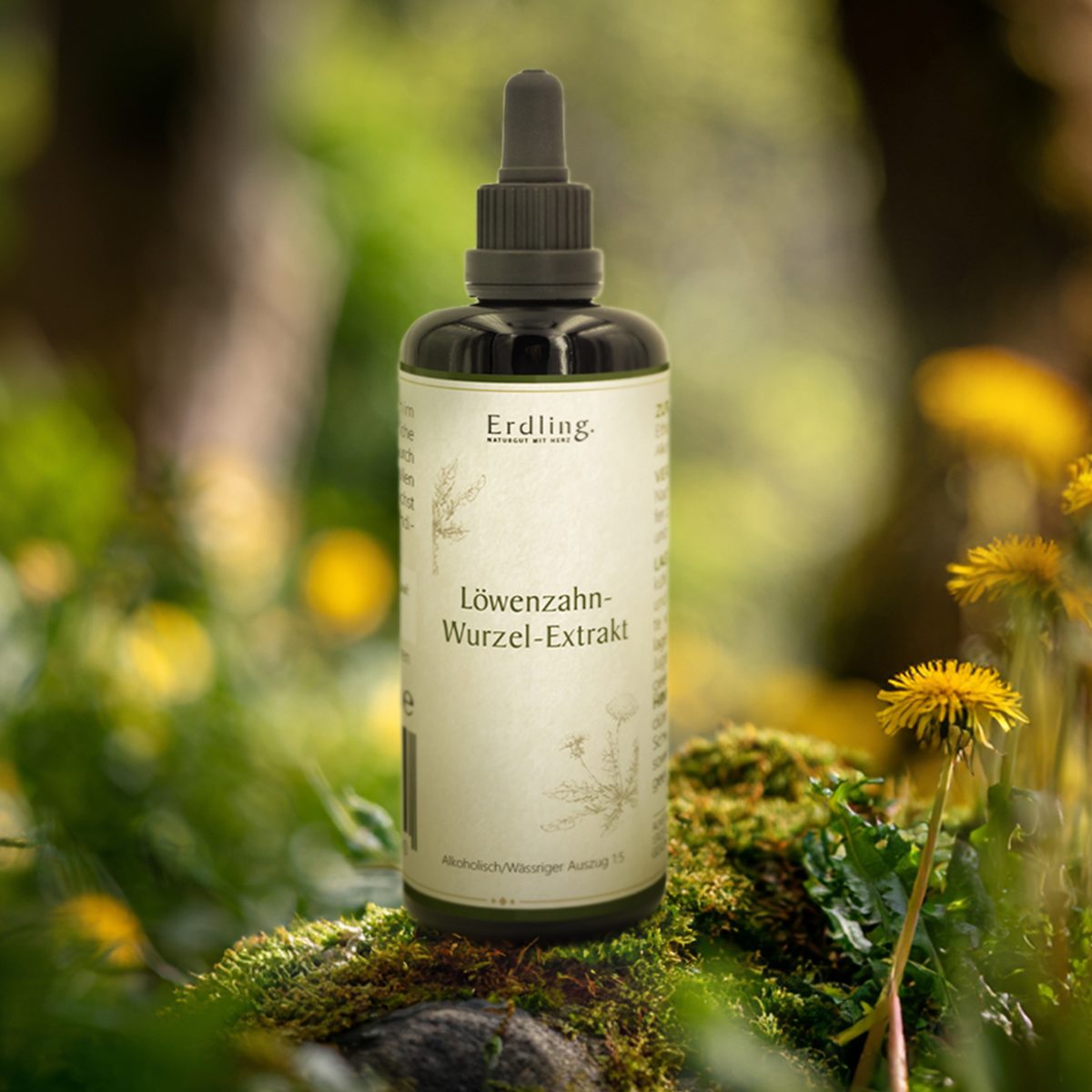 Löwenzahnwurzel-Extrakt - 50ml — Bild 2