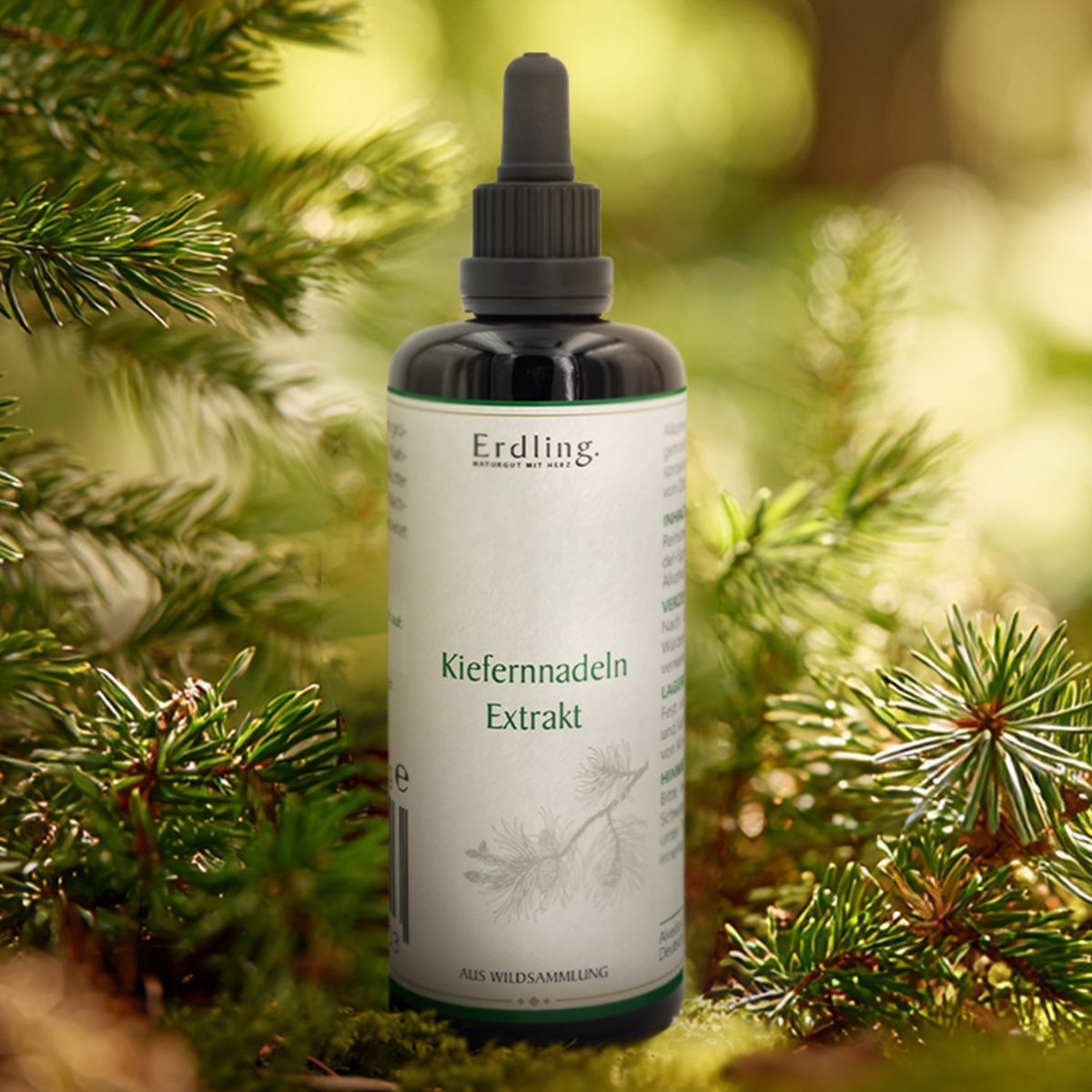 Kiefernnadeln-Extrakt - Wildsammlung - 50ml — Bild 2