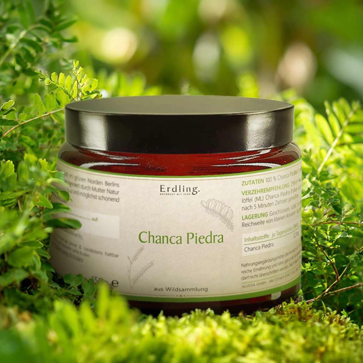 Chanca Piedra Pulver - Tiegel 150g — Bild 2