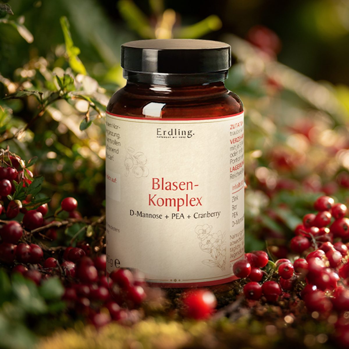 Blasenkomplex - mit D-Mannose - PEA - Cranberry - 90g — Bild 3