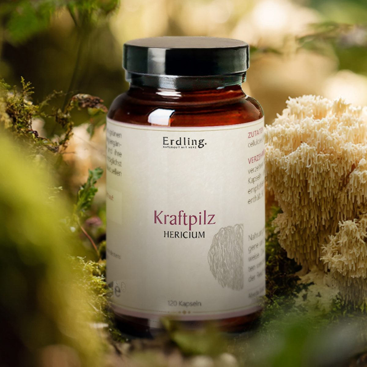 BIO Kraftpilz Hericium - Vitalpilz - 120 Kapseln — Bild 2