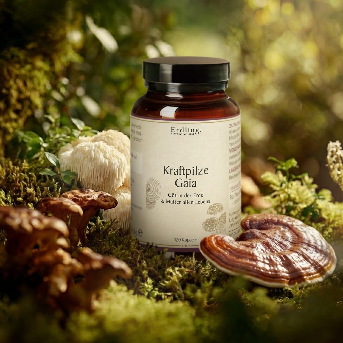 BIO Kraftpilze Gaia - Vitalpilz Synergetikum - 120 Kapseln — Bild 2