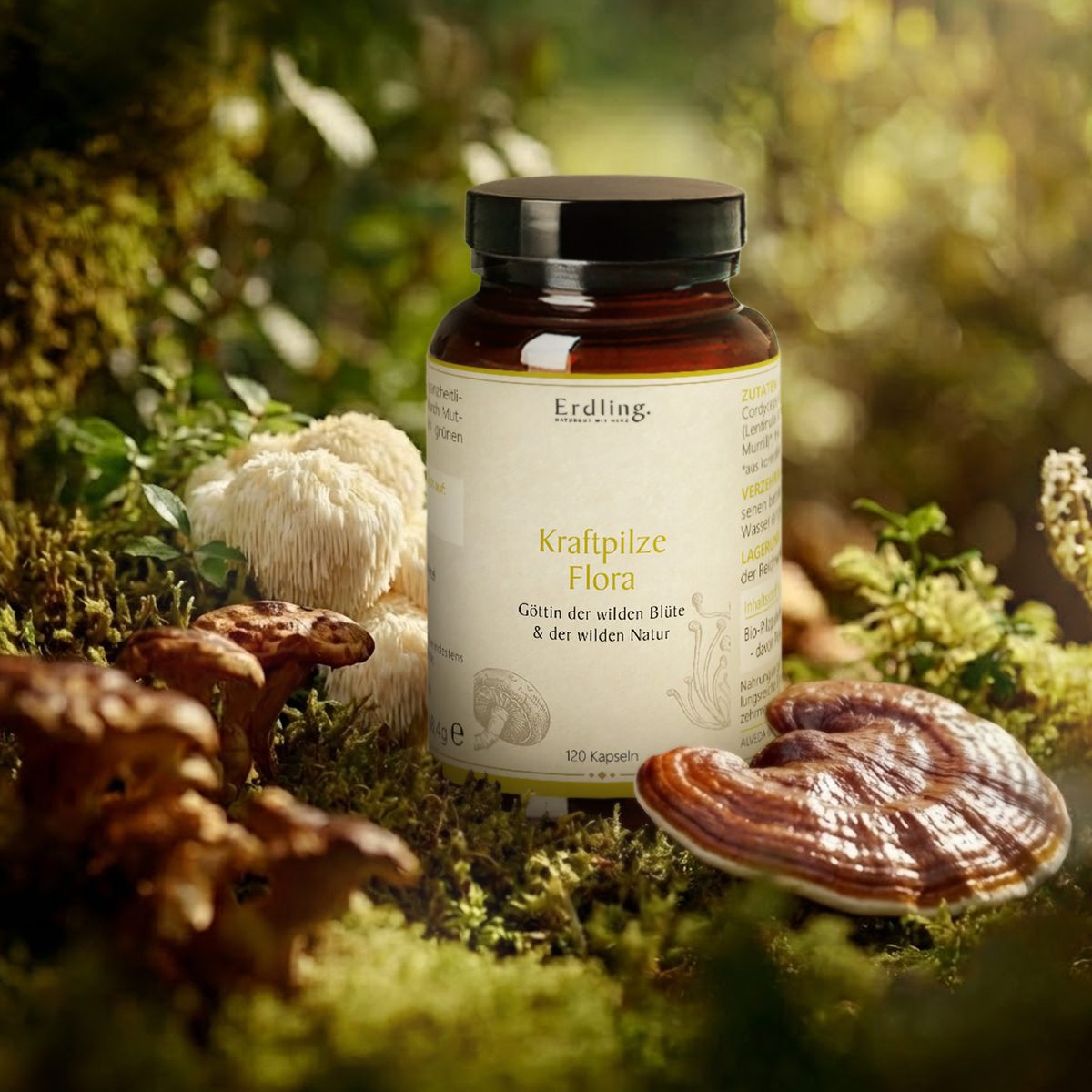BIO Kraftpilze Flora - Vitalpilz Synergetikum - 120 Kapseln — Bild 2