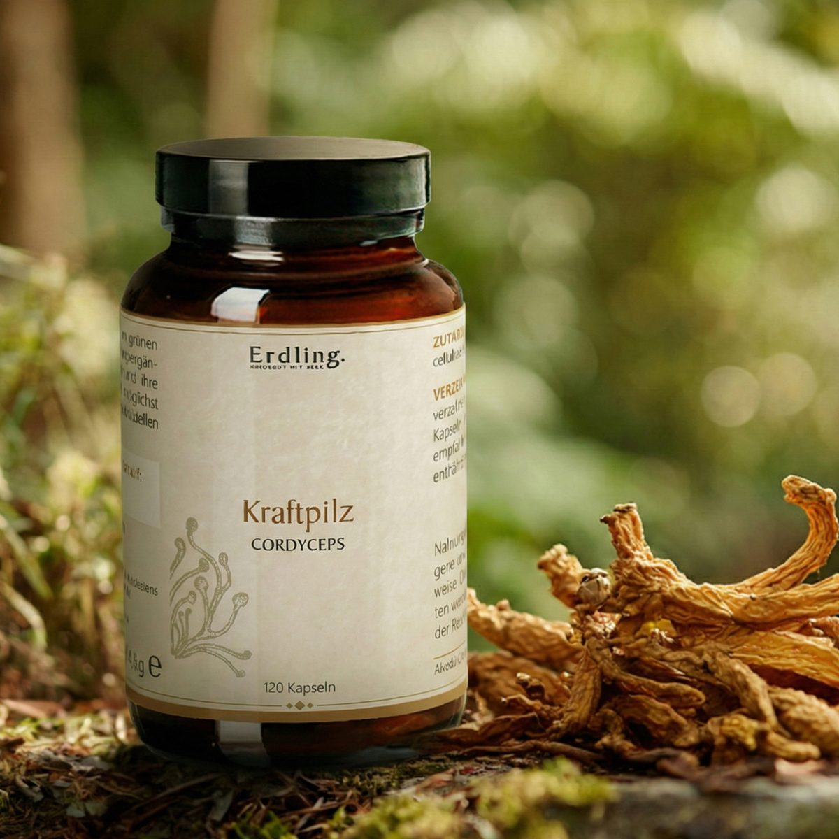 BIO Kraftpilz Cordyceps - Vitalpilz - 120 Kapseln — Bild 2