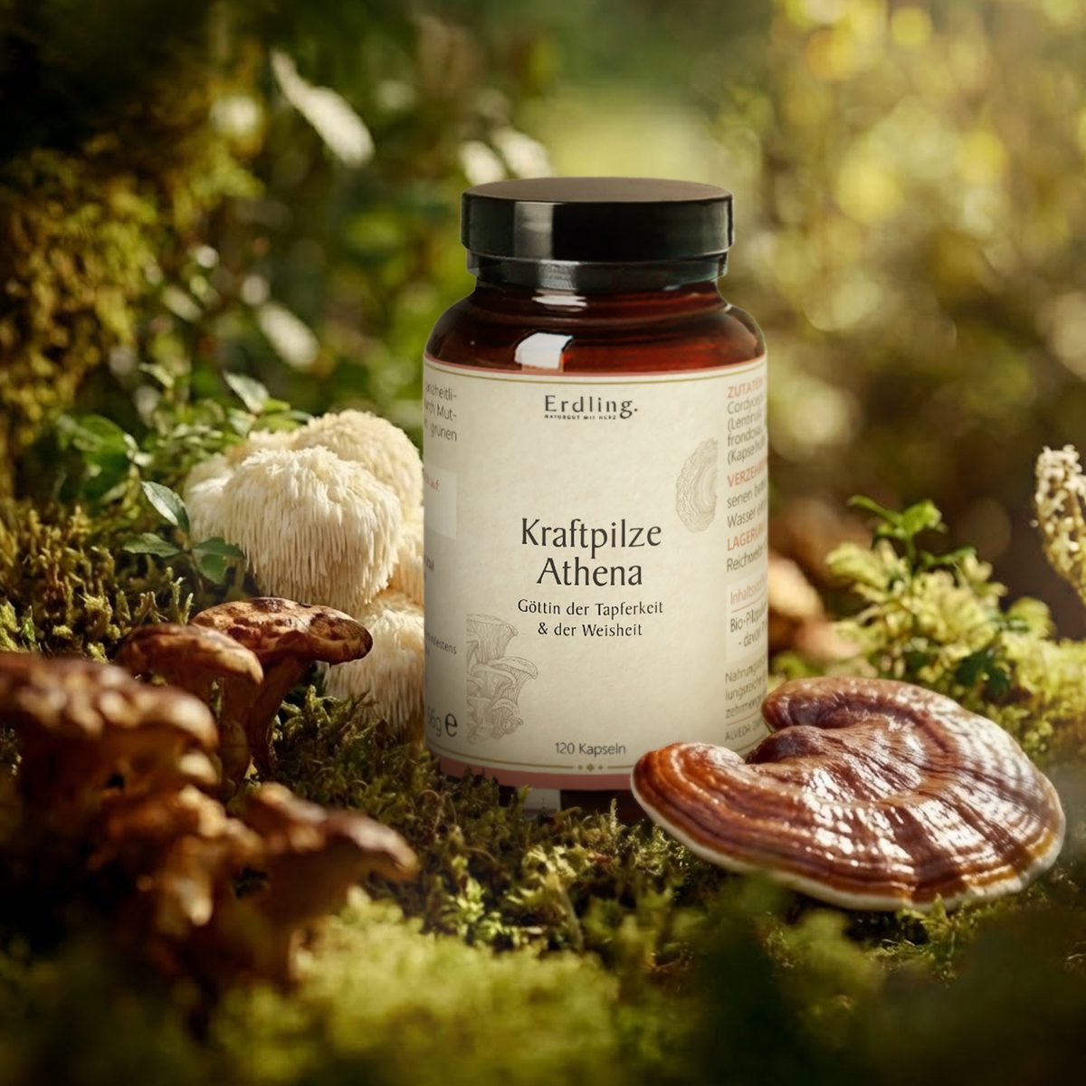 BIO Kraftpilze Athena - Vitalpilz Synergetikum - 120 Kapseln — Bild 2