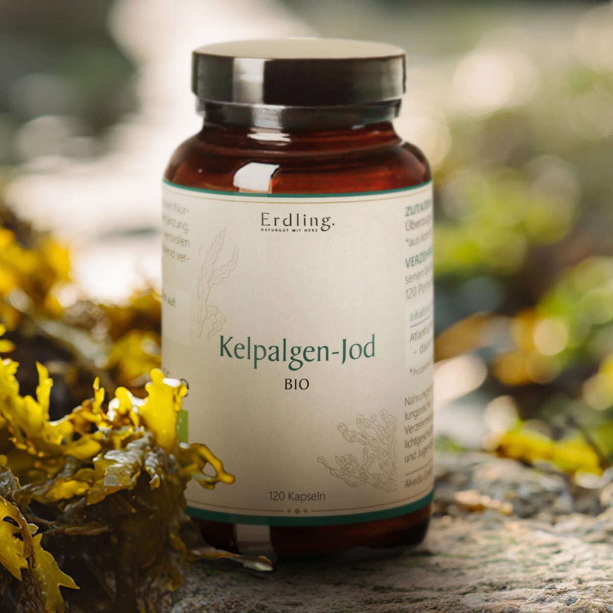 BIO Kelpalgen-Jod - 120 Kapseln — Bild 2