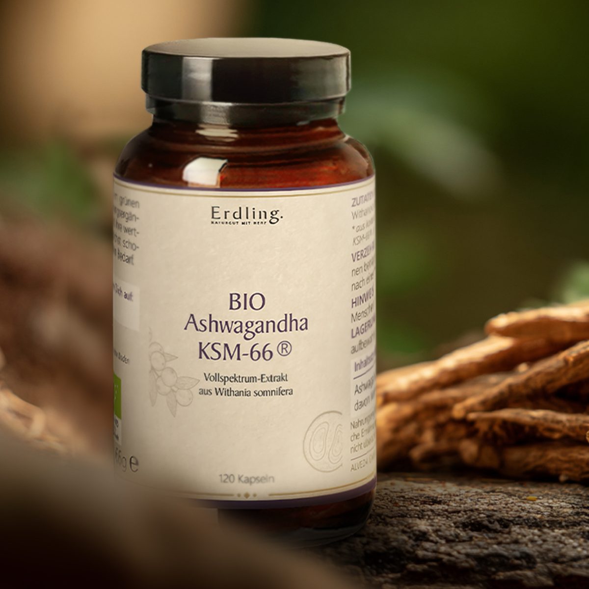 BIO Ashwagandha KSM-66® vegan - 120 Kapseln — Bild 2