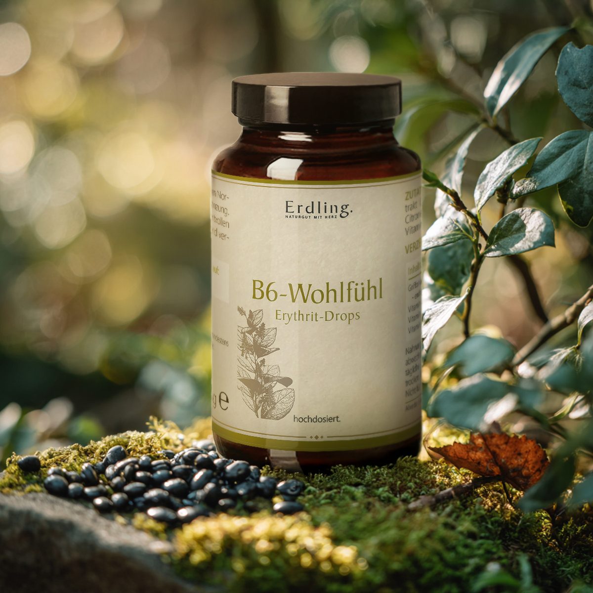 B6-Wohlfühl Erythrit-Drops - 50 Stück